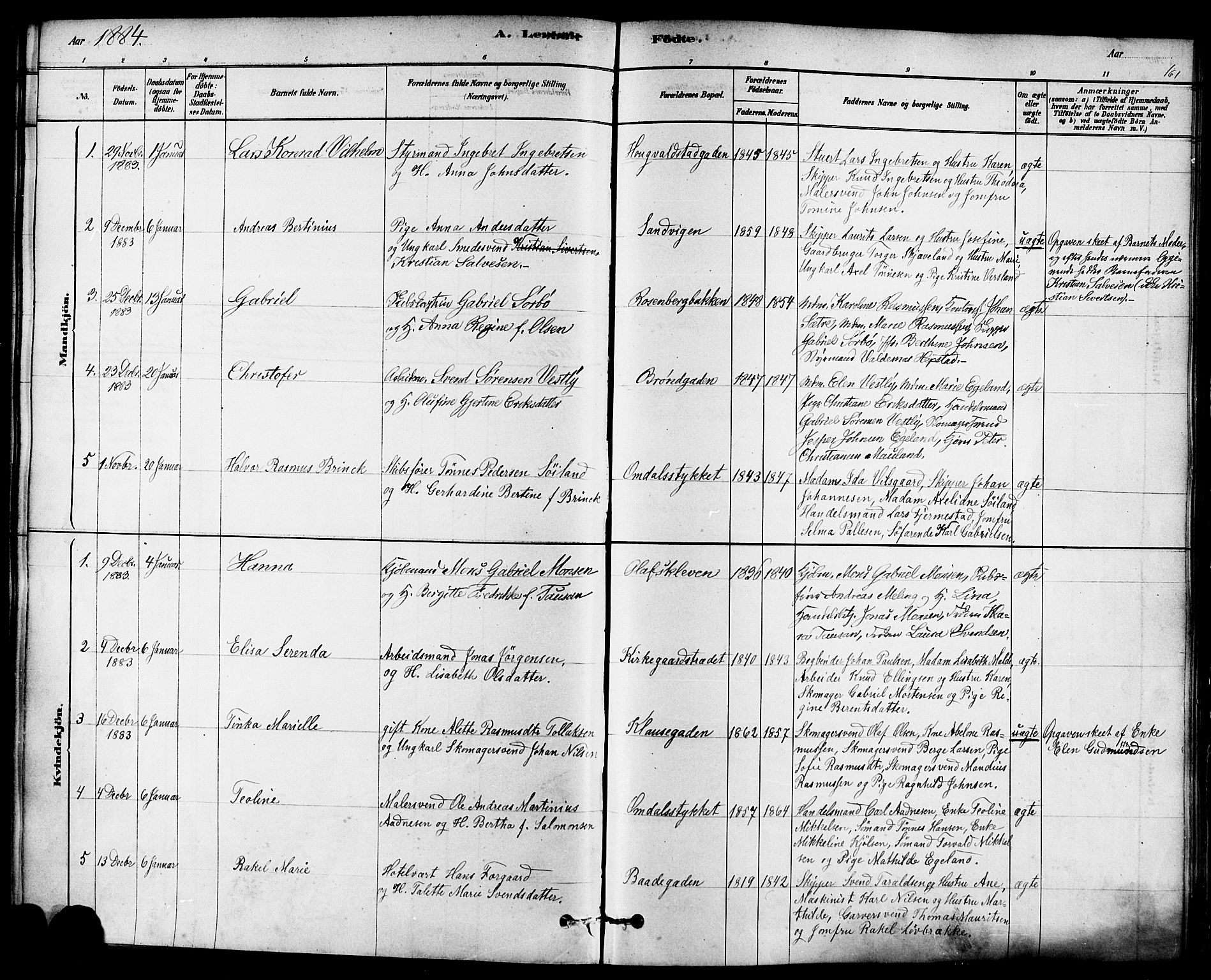Domkirken sokneprestkontor, SAST/A-101812/001/30/30BA/L0026: Parish register (official) no. A 25, 1878-1889, p. 161