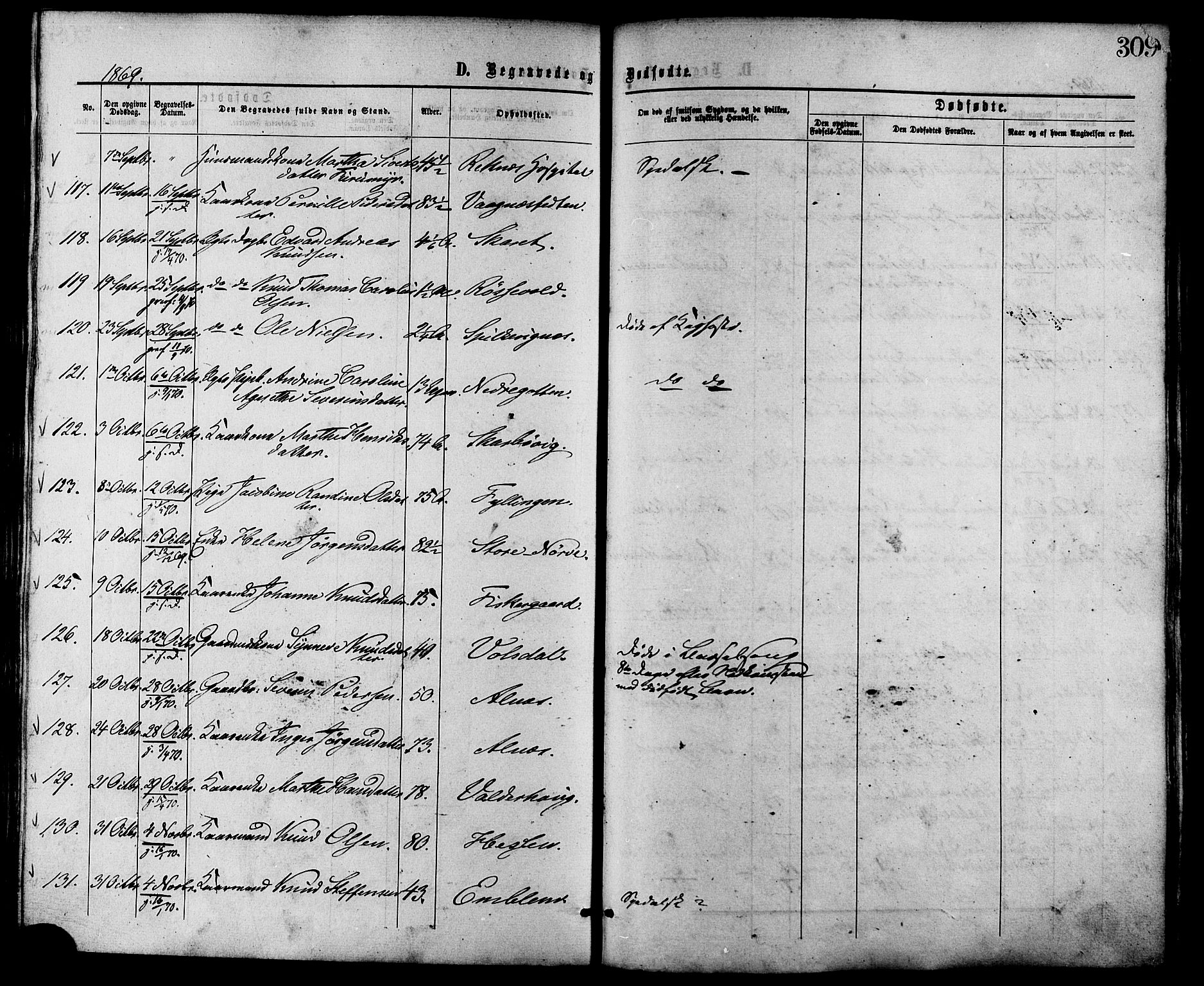 Ministerialprotokoller, klokkerbøker og fødselsregistre - Møre og Romsdal, AV/SAT-A-1454/528/L0399: Parish register (official) no. 528A10, 1864-1879, p. 309