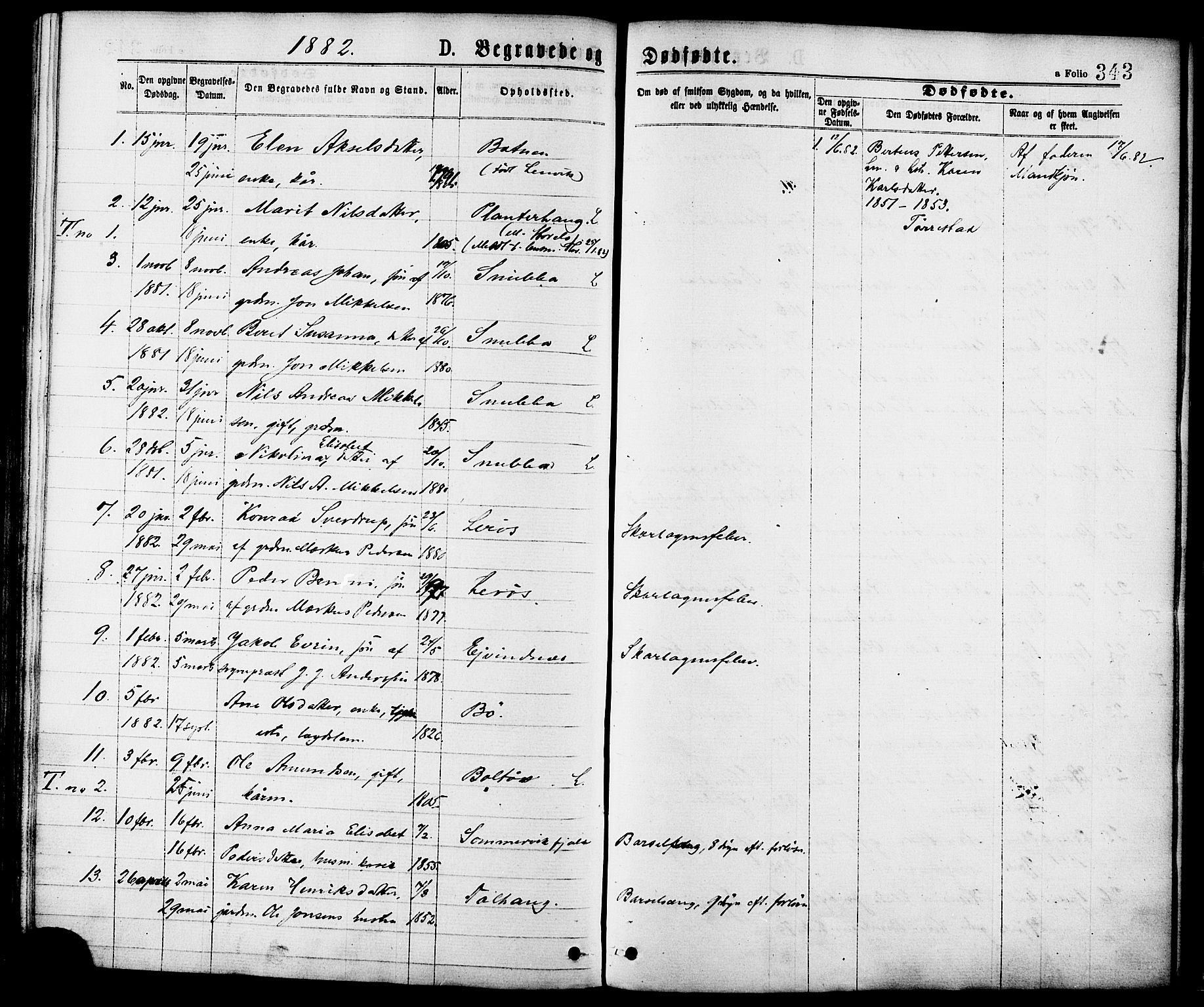 Ministerialprotokoller, klokkerbøker og fødselsregistre - Nordland, AV/SAT-A-1459/863/L0897: Parish register (official) no. 863A09, 1872-1886, p. 343