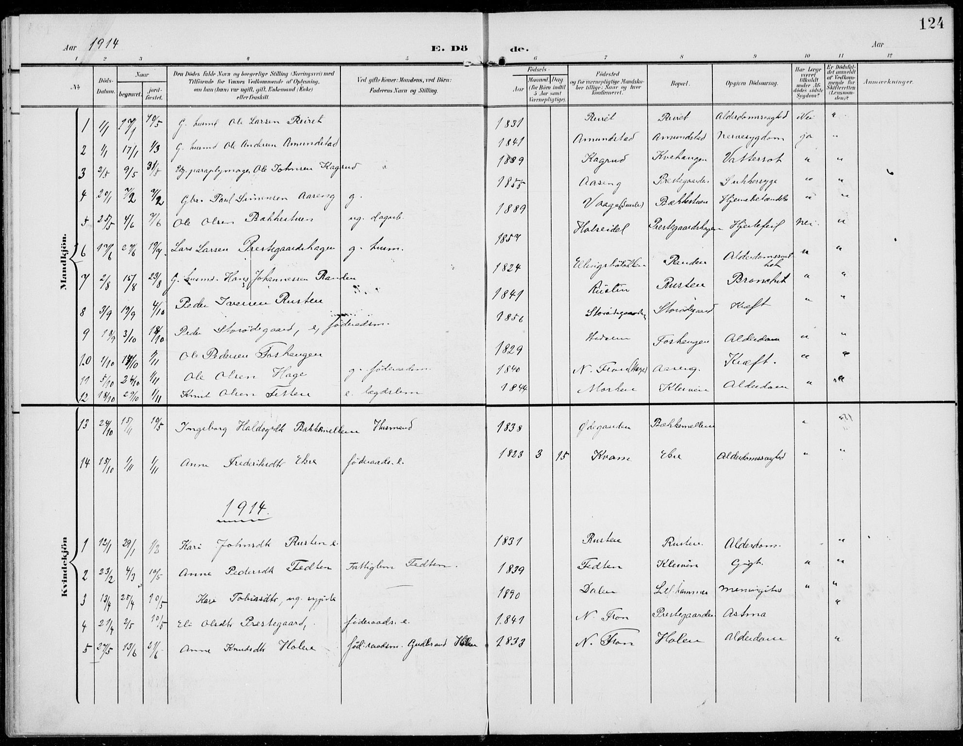 Sel prestekontor, SAH/PREST-074/H/Ha/Haa/L0001: Parish register (official) no. 1, 1905-1922, p. 124