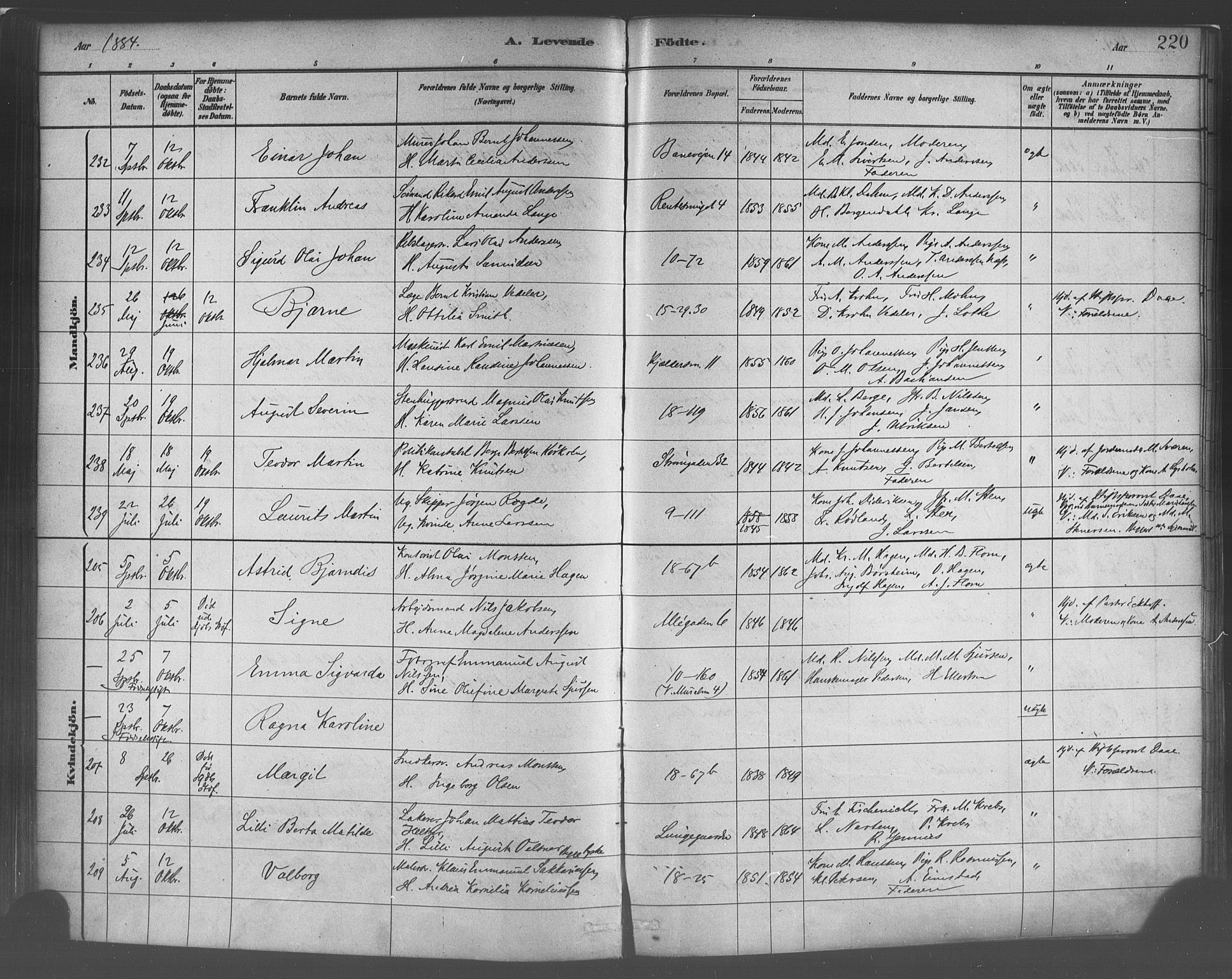 Domkirken sokneprestembete, SAB/A-74801/H/Haa/L0023: Parish register (official) no. B 6, 1879-1887, p. 220