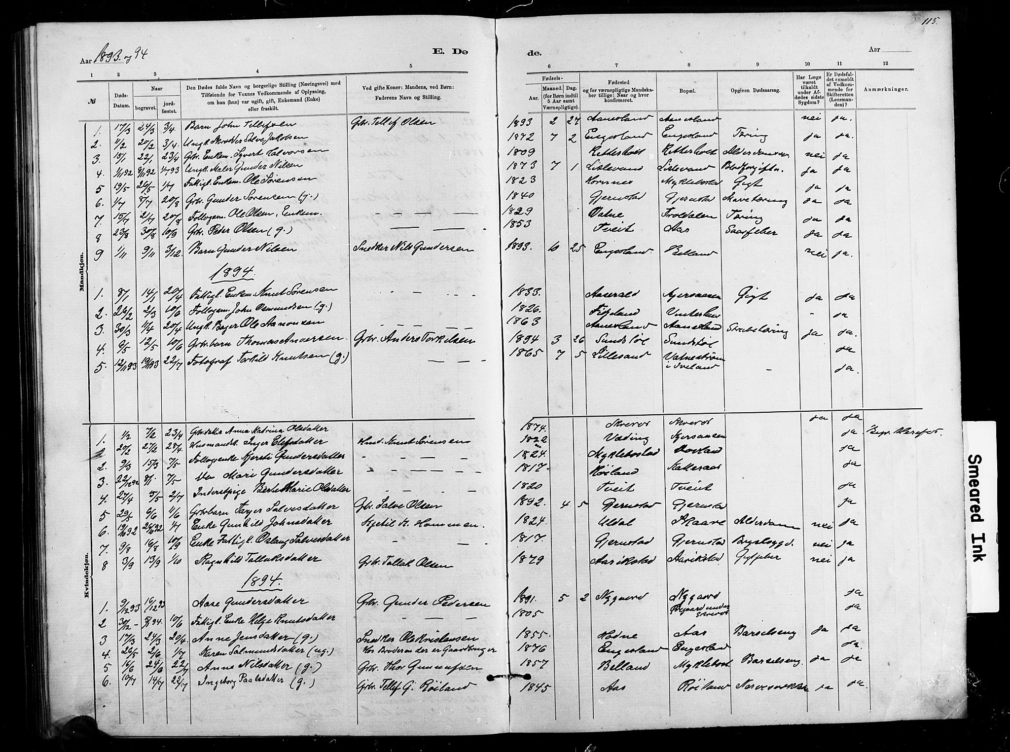 Herefoss sokneprestkontor, SAK/1111-0019/F/Fb/Fbb/L0002: Parish register (copy) no. B 2, 1879-1894, p. 115