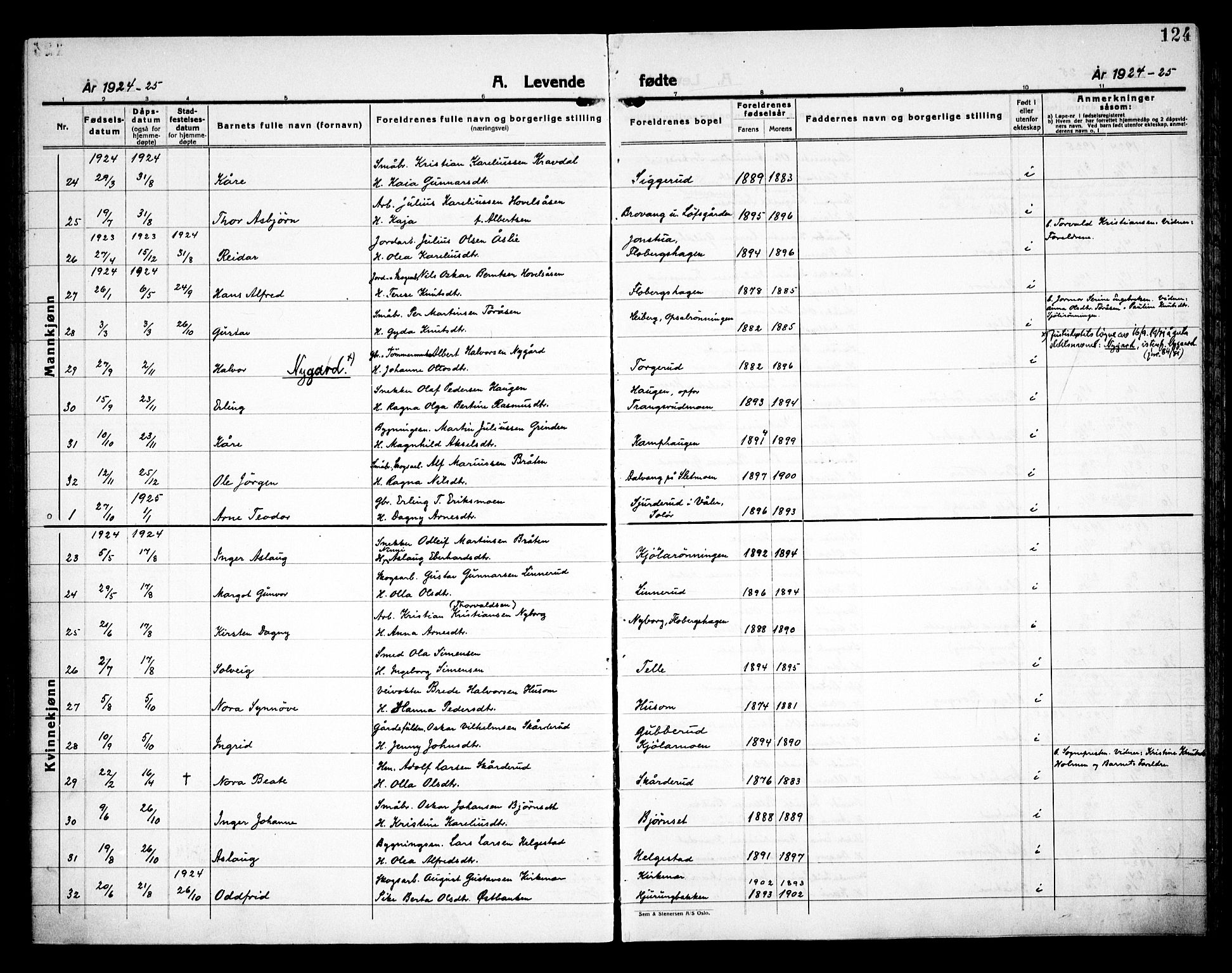 Åsnes prestekontor, SAH/PREST-042/H/Ha/Haa/L0000C: Parish register (official) no. 0A, 1890-1929, p. 124