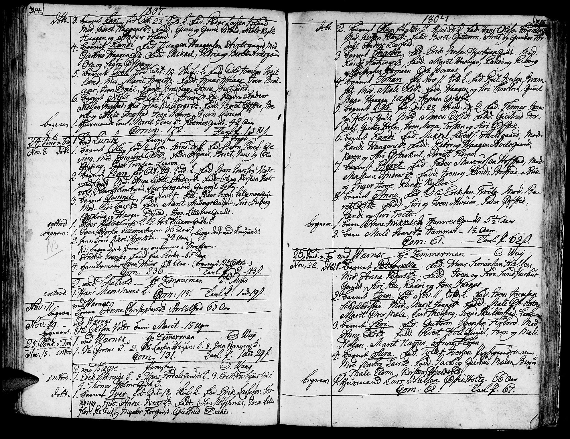 Ministerialprotokoller, klokkerbøker og fødselsregistre - Nord-Trøndelag, SAT/A-1458/709/L0060: Parish register (official) no. 709A07, 1797-1815, p. 314-315