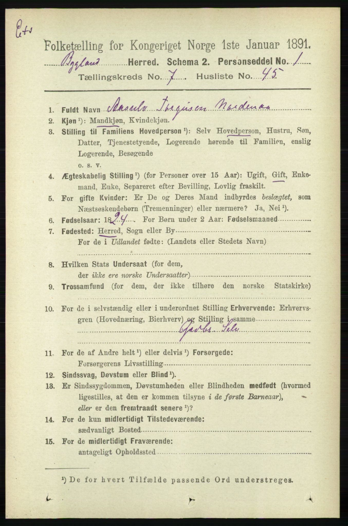 RA, Census 1891 for Nedenes amt: Gjenparter av personsedler for beslektede ektefeller, menn, 1891, p. 1033