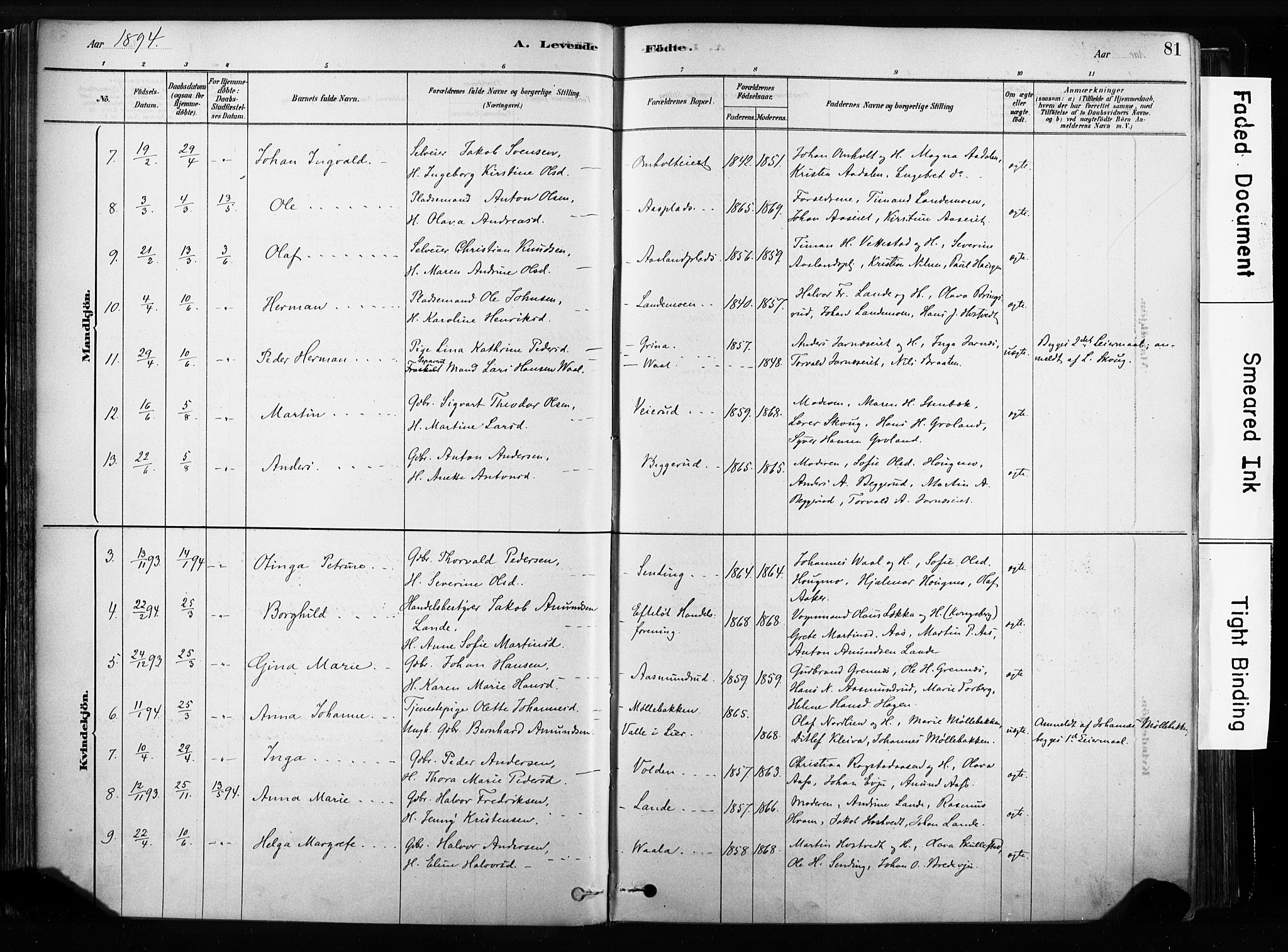 Sandsvær kirkebøker, SAKO/A-244/F/Fb/L0001: Parish register (official) no. II 1, 1878-1906, p. 81