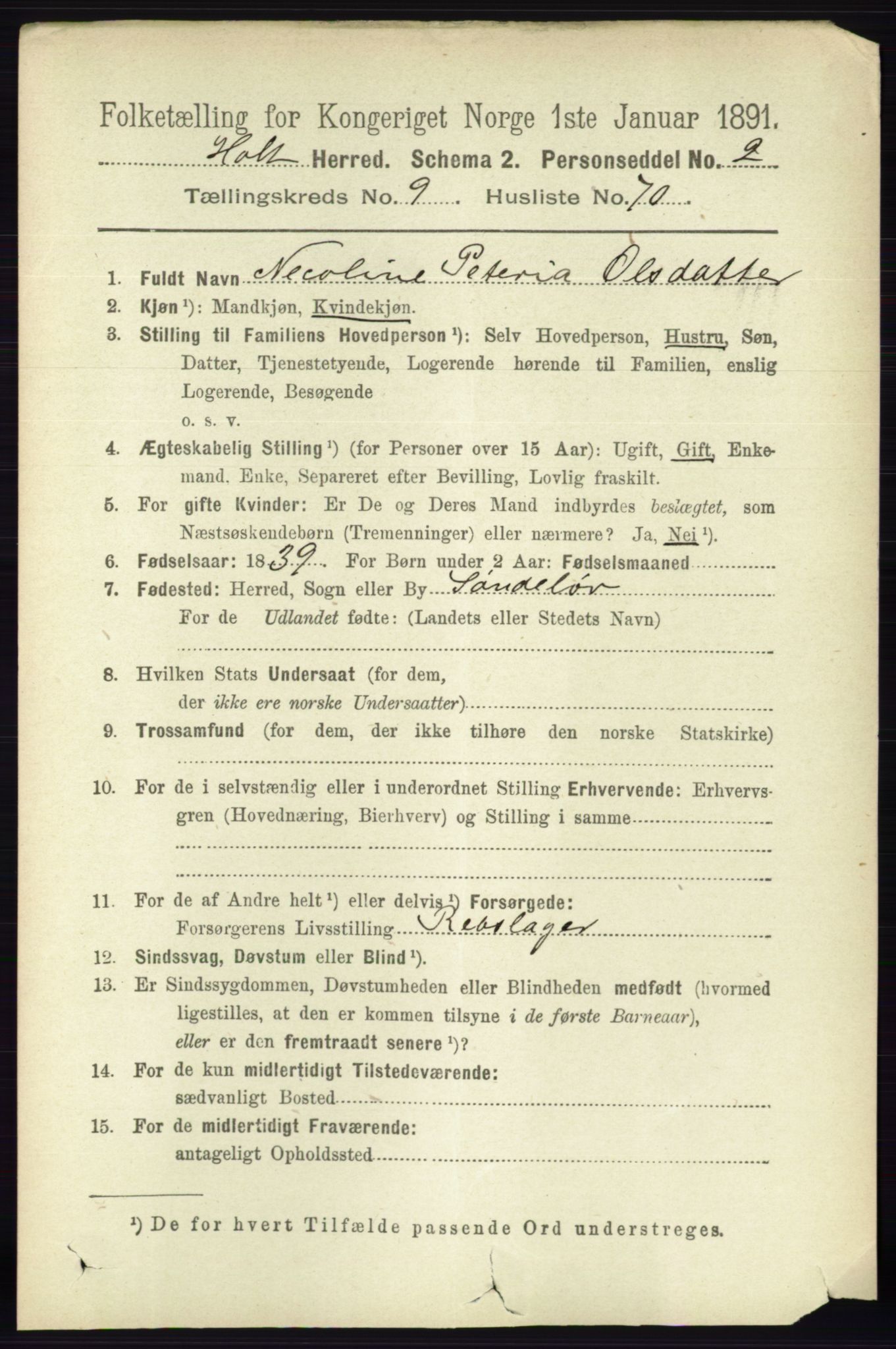 RA, 1891 census for 0914 Holt, 1891, p. 4360