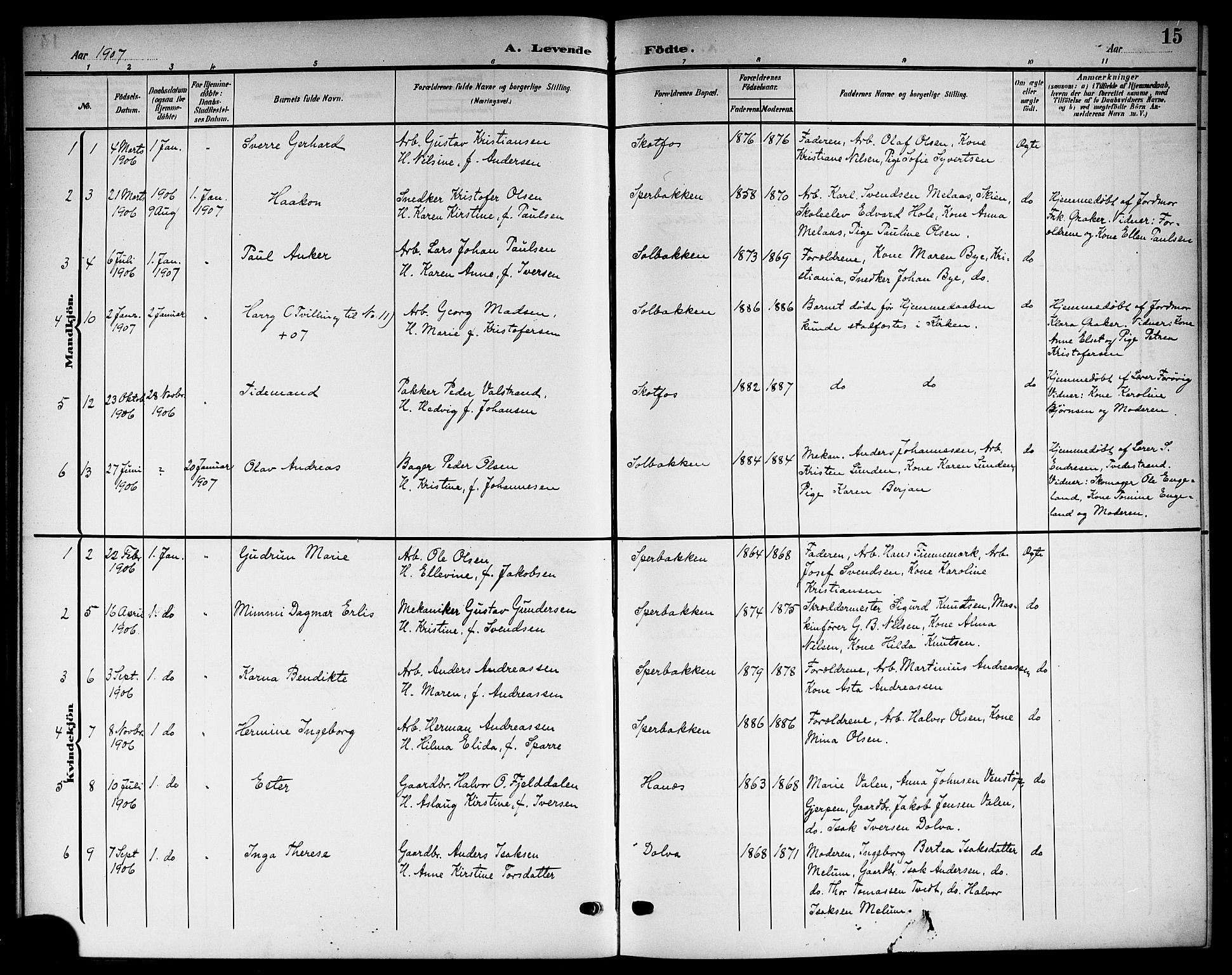 Solum kirkebøker, SAKO/A-306/G/Gb/L0005: Parish register (copy) no. II 5, 1905-1914, p. 15