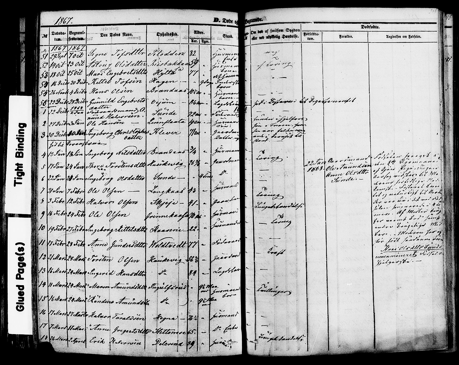 Sauherad kirkebøker, SAKO/A-298/F/Fa/L0007: Parish register (official) no. I 7, 1851-1873, p. 208