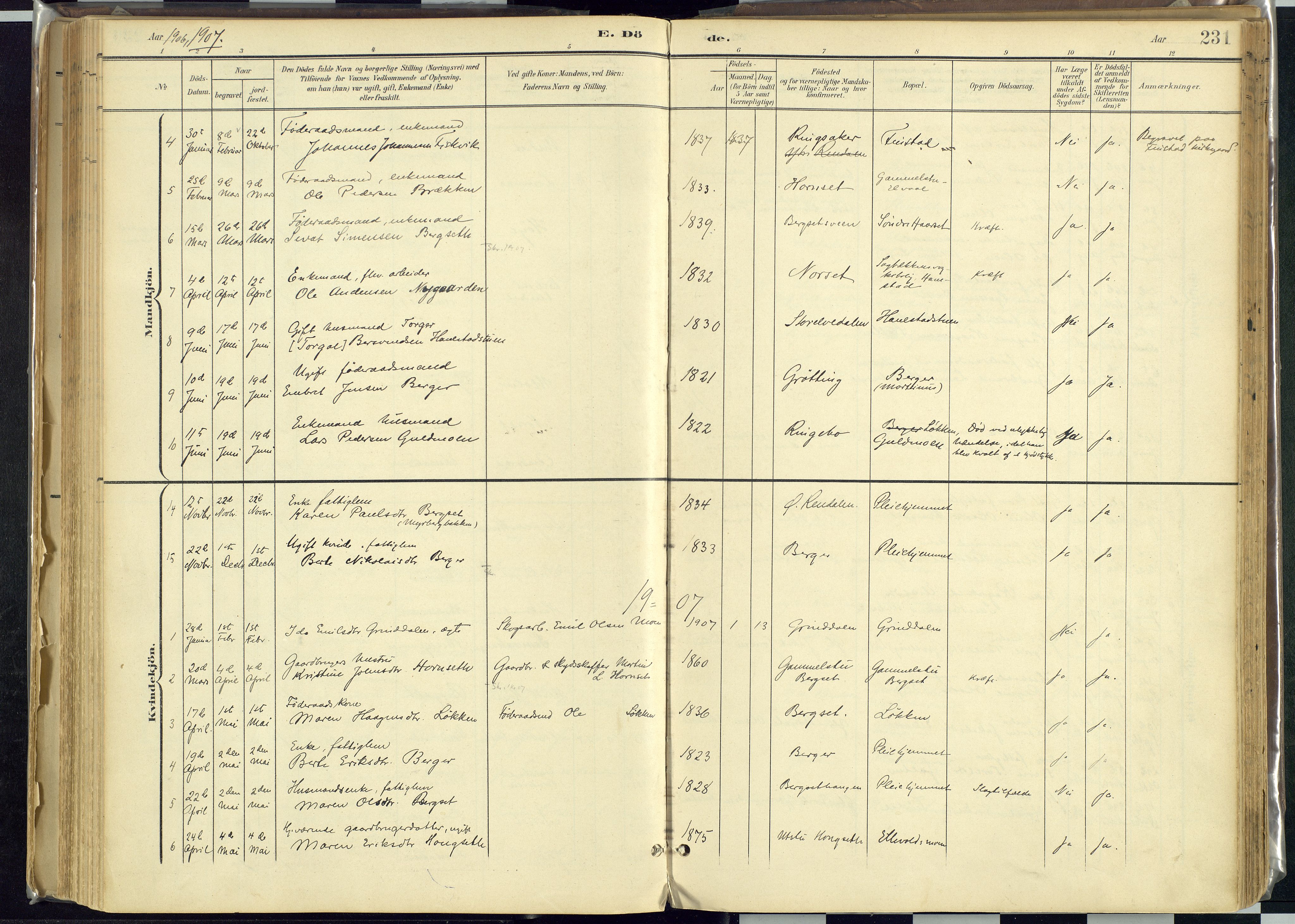 Rendalen prestekontor, SAH/PREST-054/H/Ha/Haa/L0012: Parish register (official) no. 12, 1901-1928, p. 231