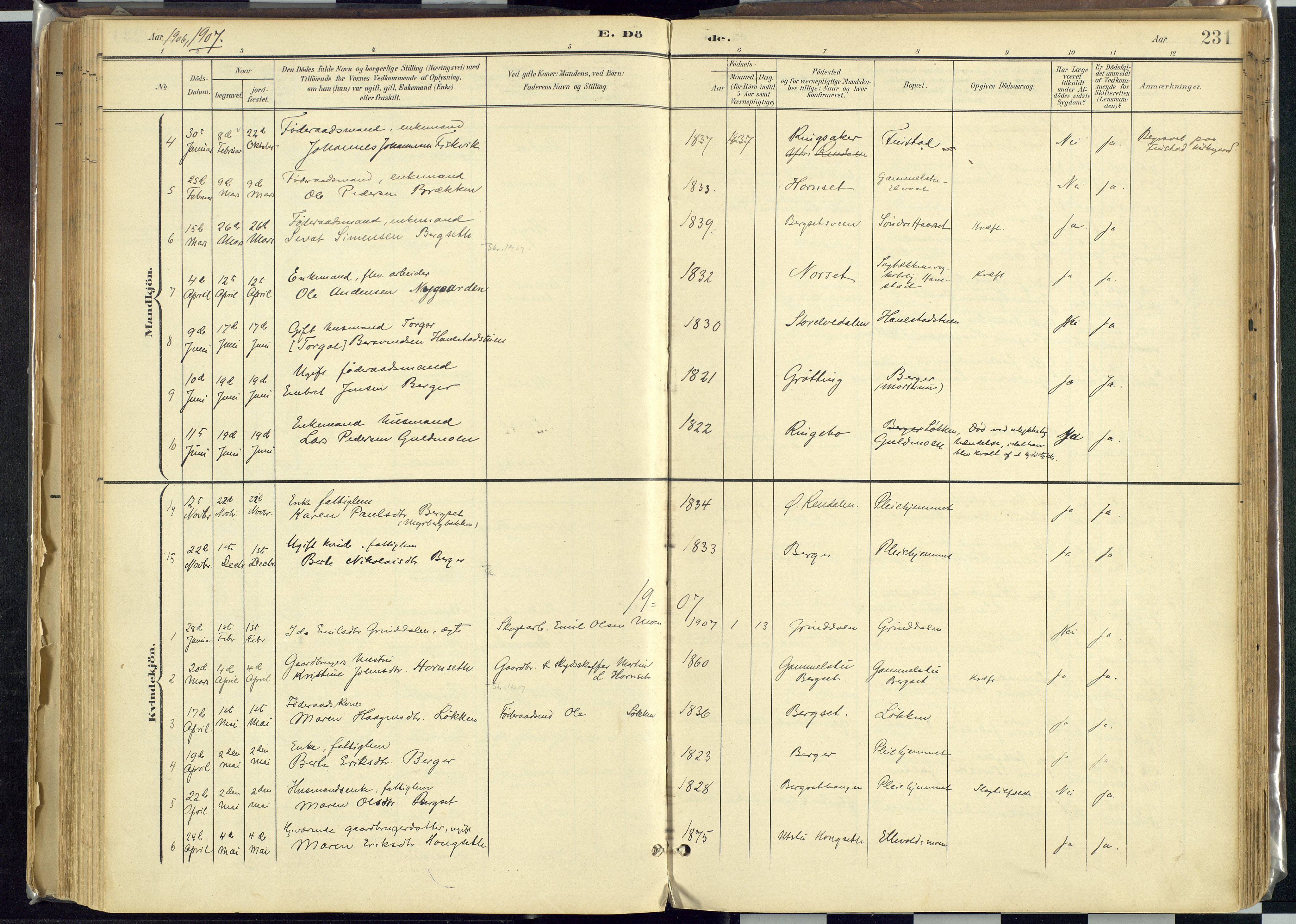 Rendalen prestekontor, AV/SAH-PREST-054/H/Ha/Haa/L0012: Parish register (official) no. 12, 1901-1928, p. 231