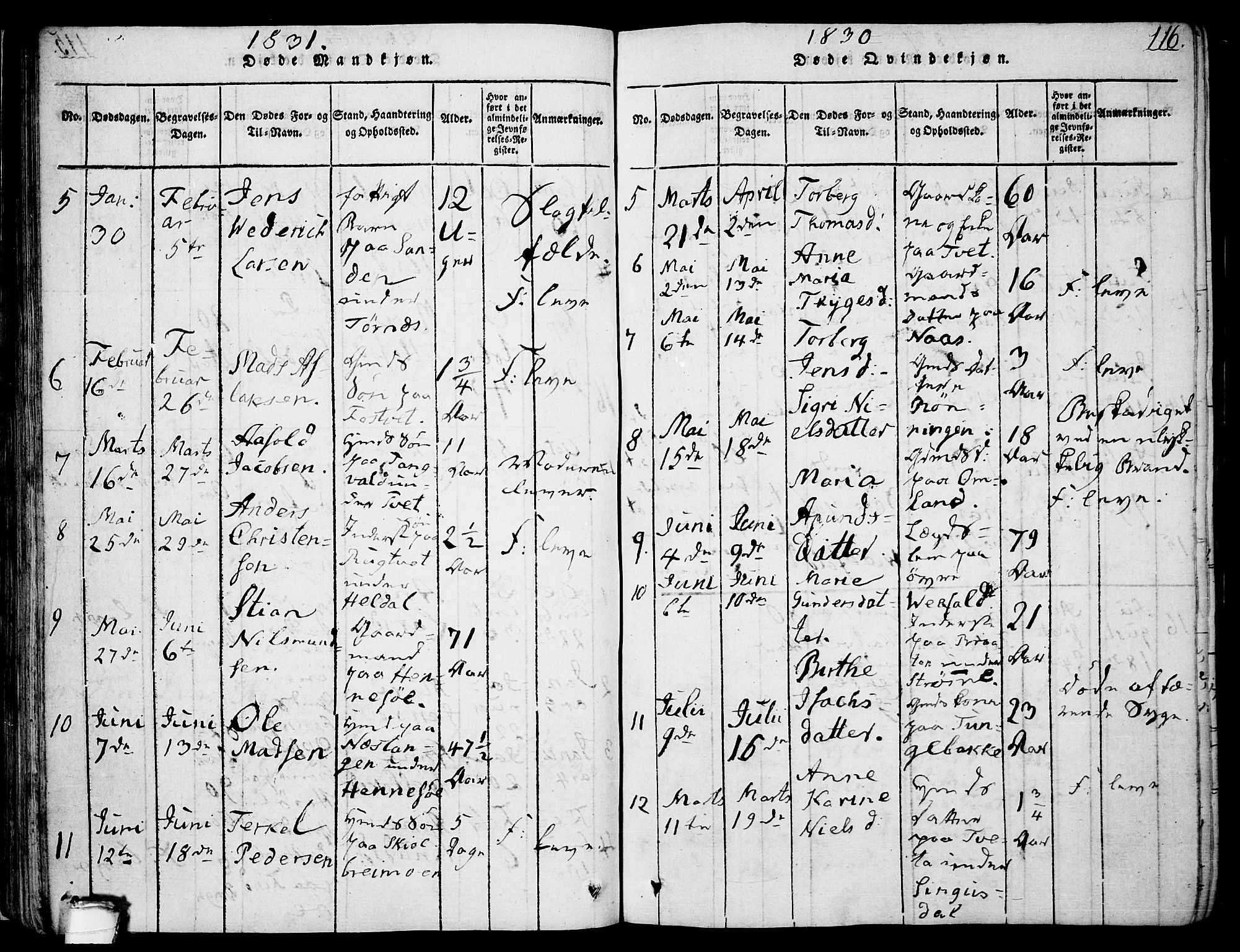 Drangedal kirkebøker, SAKO/A-258/F/Fa/L0005: Parish register (official) no. 5 /1, 1814-1831, p. 116