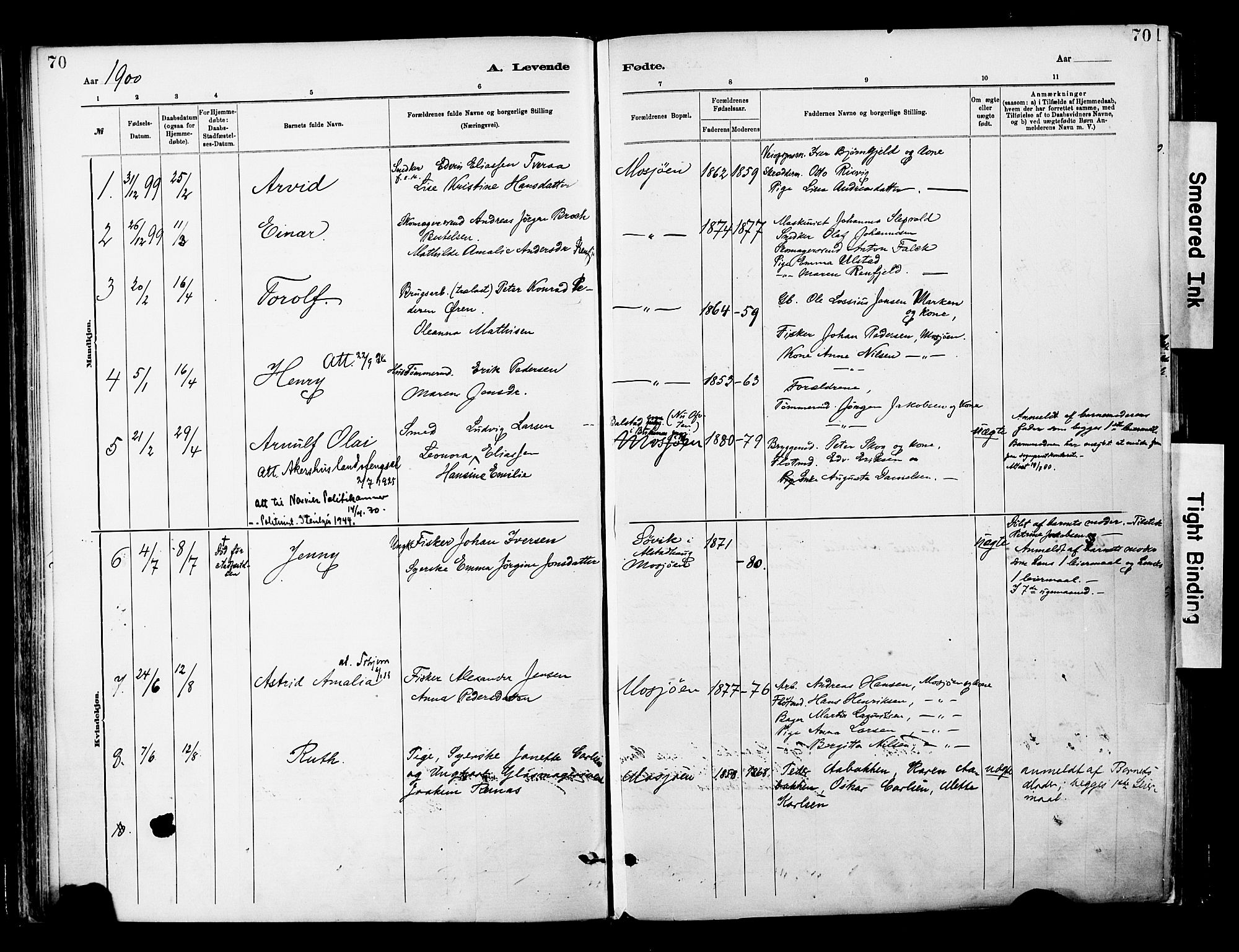 Ministerialprotokoller, klokkerbøker og fødselsregistre - Nordland, SAT/A-1459/820/L0296: Parish register (official) no. 820A17, 1880-1903, p. 70