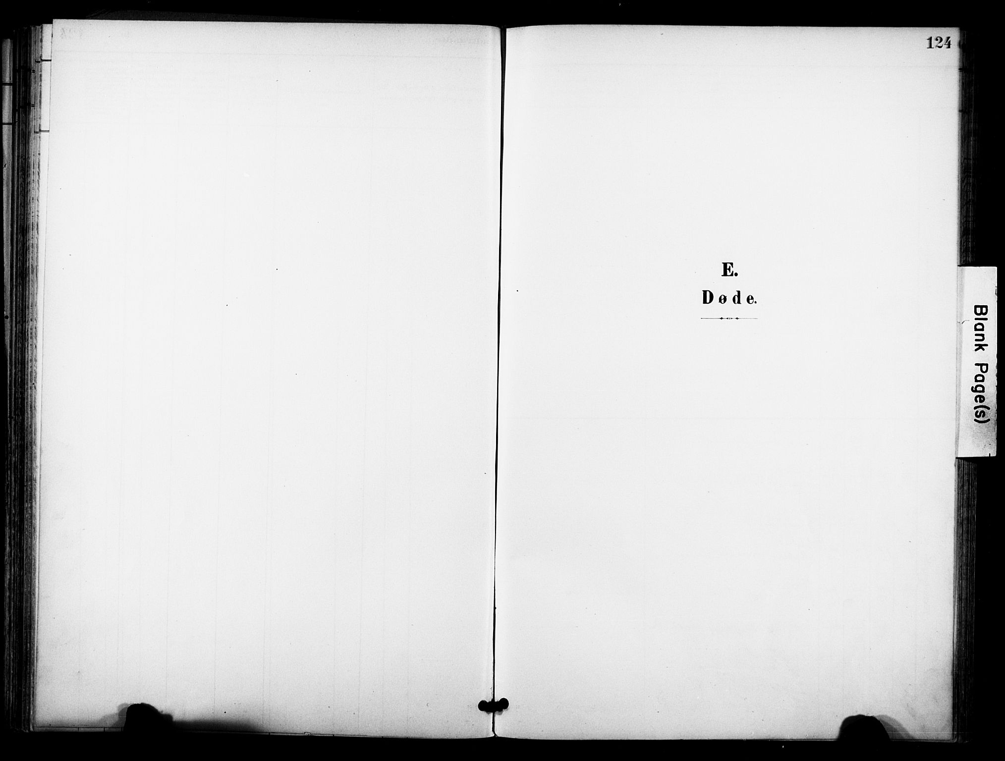 Bø kirkebøker, SAKO/A-257/F/Fa/L0012: Parish register (official) no. 12, 1900-1908, p. 124