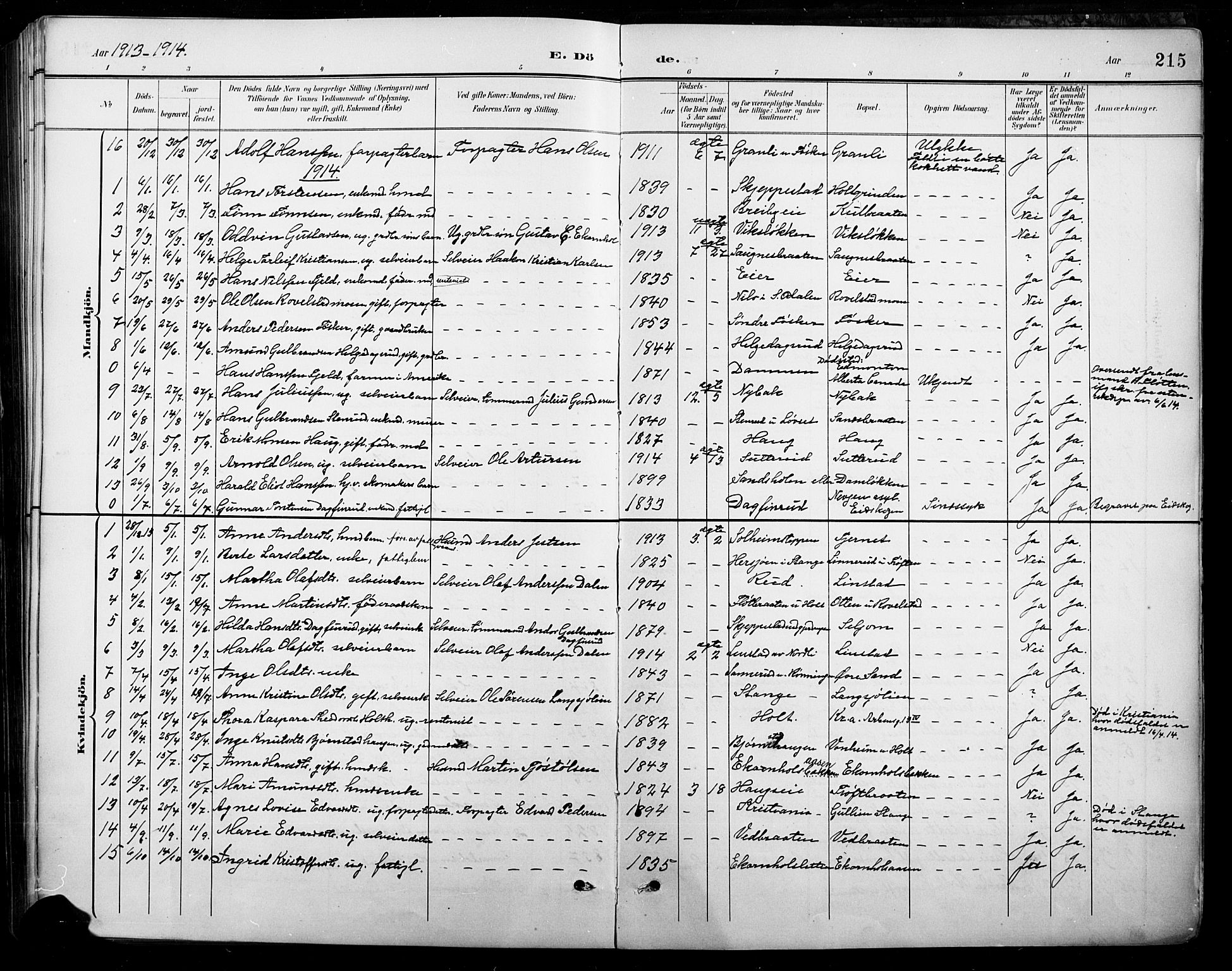 Nord-Odal prestekontor, AV/SAH-PREST-032/H/Ha/Hab/L0003: Parish register (copy) no. 3, 1895-1923, p. 215