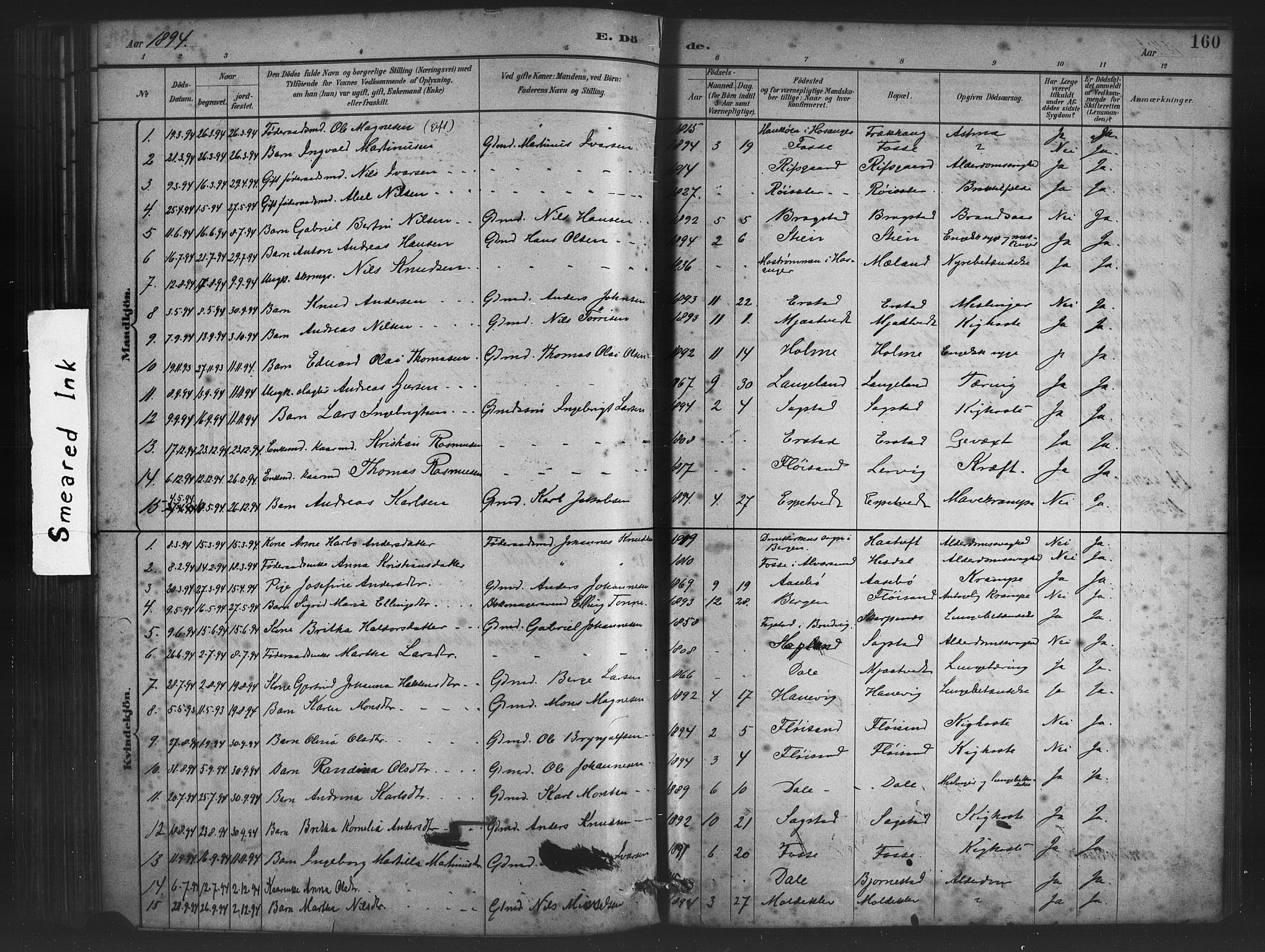 Alversund Sokneprestembete, SAB/A-73901/H/Ha/Haa/Haac/L0001: Parish register (official) no. C 1, 1882-1900, p. 160