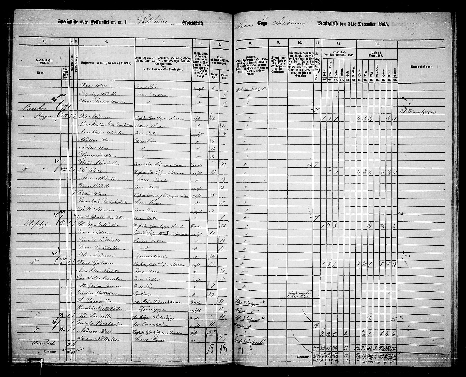 RA, 1865 census for Modum, 1865, p. 304