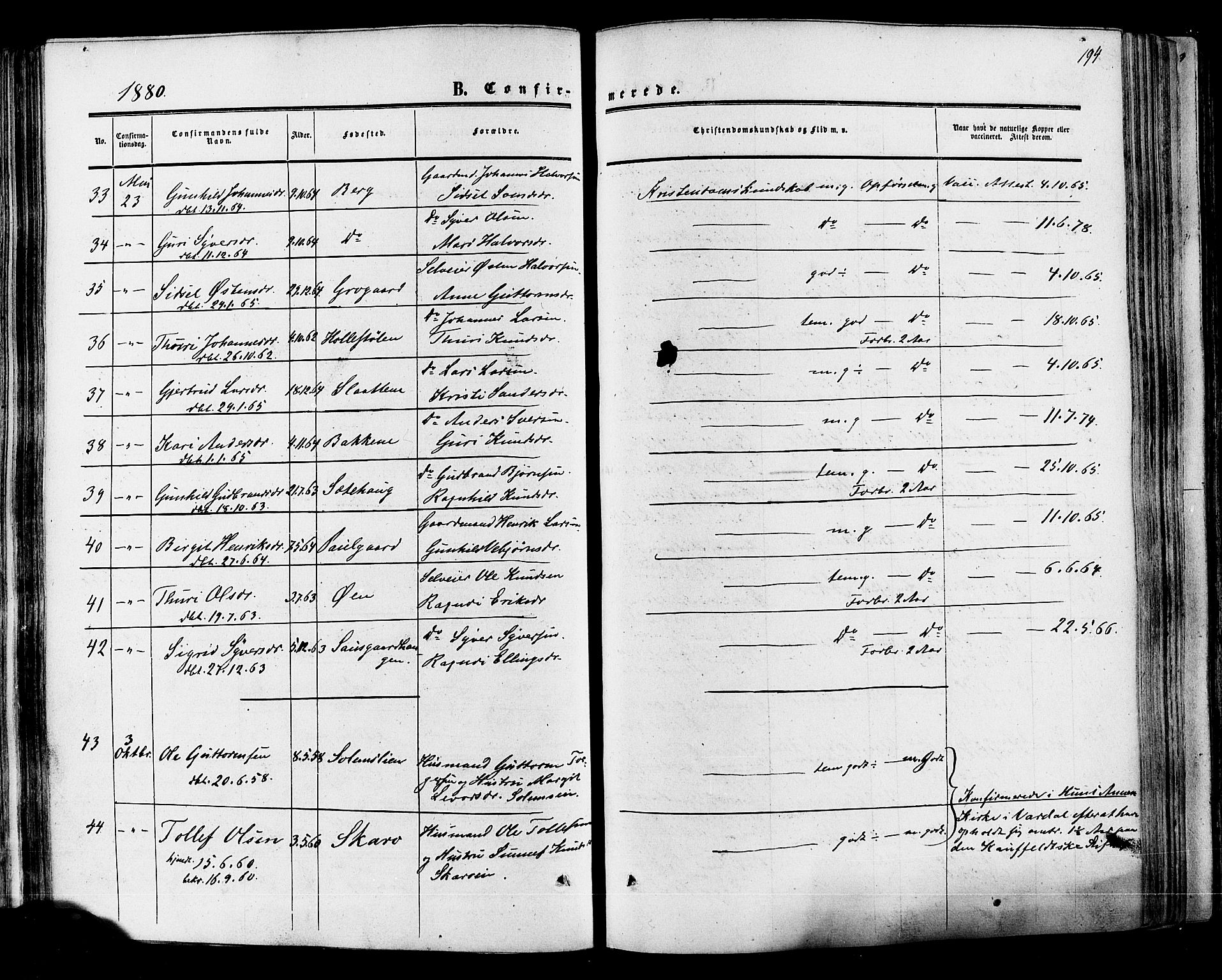 Hol kirkebøker, SAKO/A-227/F/Fa/L0002: Parish register (official) no. I 2, 1870-1886, p. 194