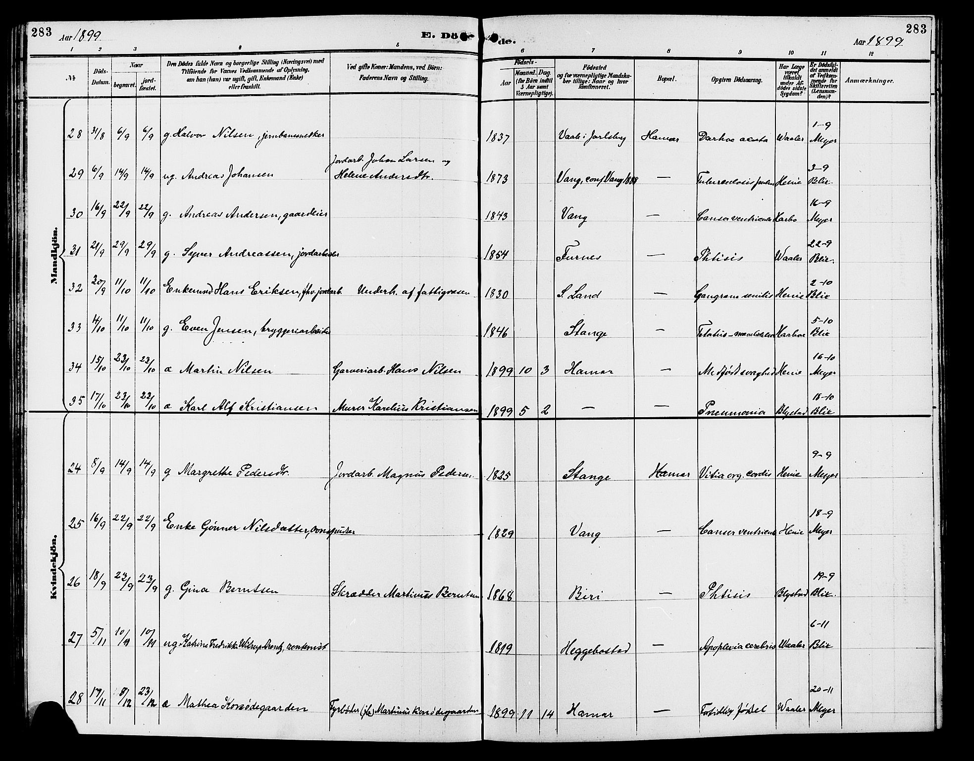 Vang prestekontor, Hedmark, AV/SAH-PREST-008/H/Ha/Hab/L0013: Parish register (copy) no. 13, 1890-1899, p. 283