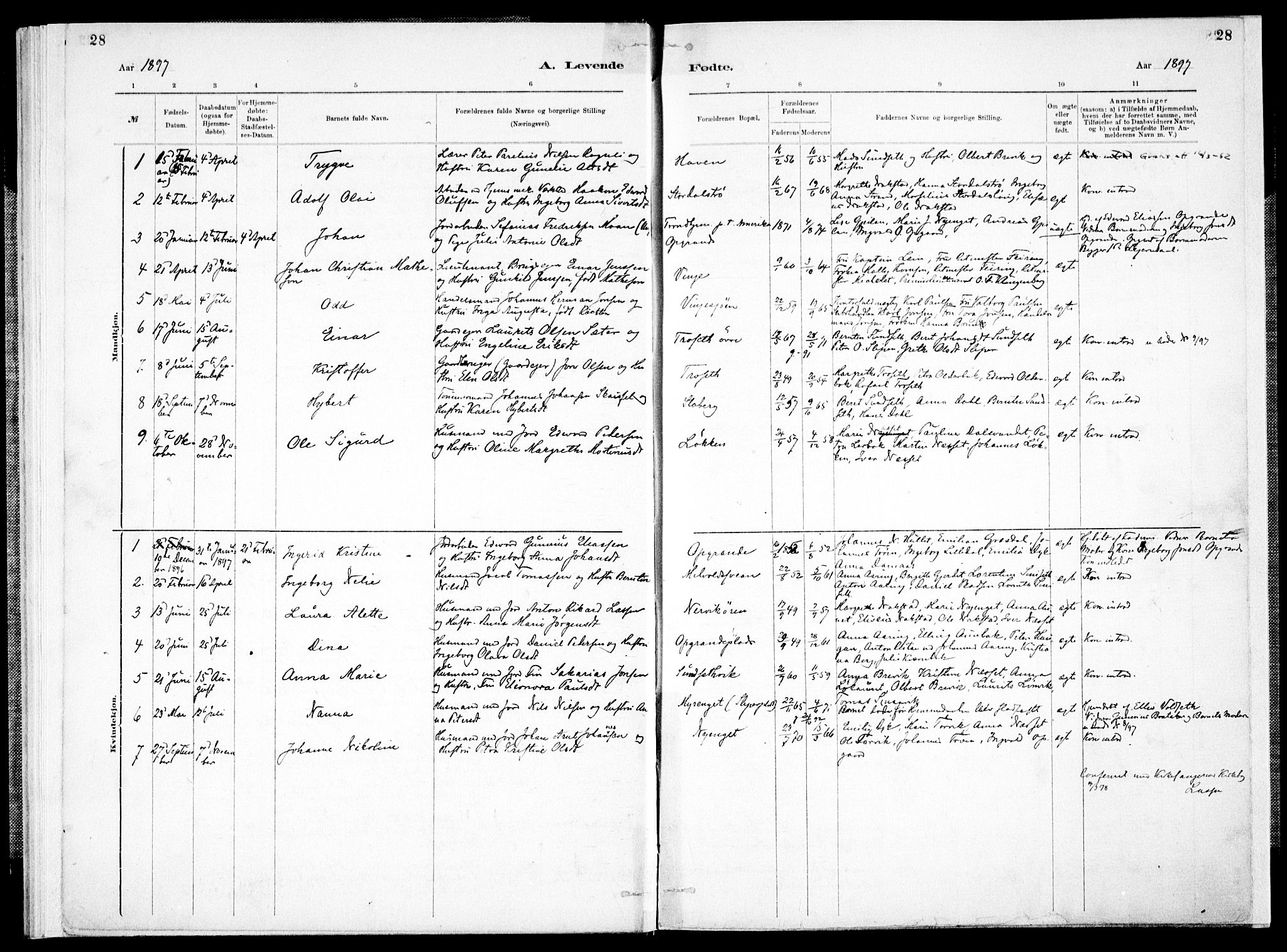 Ministerialprotokoller, klokkerbøker og fødselsregistre - Nord-Trøndelag, SAT/A-1458/733/L0325: Parish register (official) no. 733A04, 1884-1908, p. 28