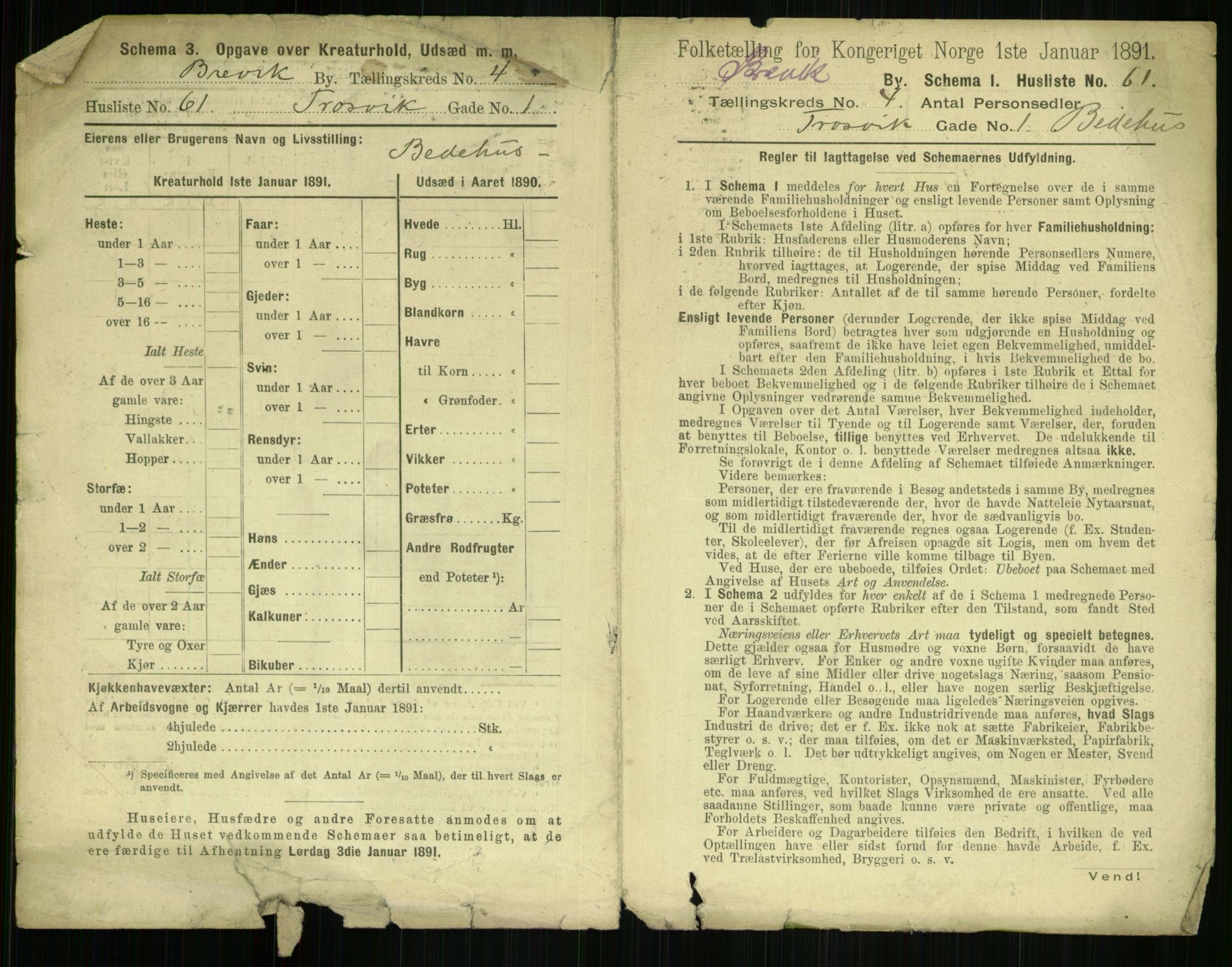 RA, 1891 census for 0804 Brevik, 1891, p. 805