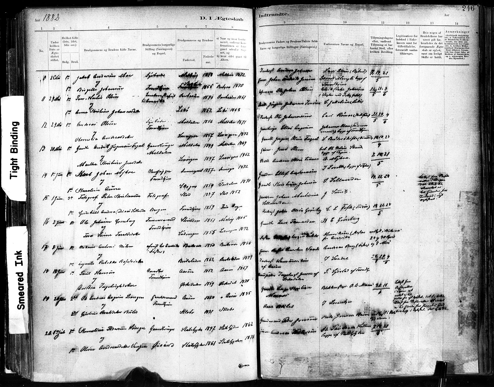 Ministerialprotokoller, klokkerbøker og fødselsregistre - Sør-Trøndelag, SAT/A-1456/602/L0119: Parish register (official) no. 602A17, 1880-1901, p. 246