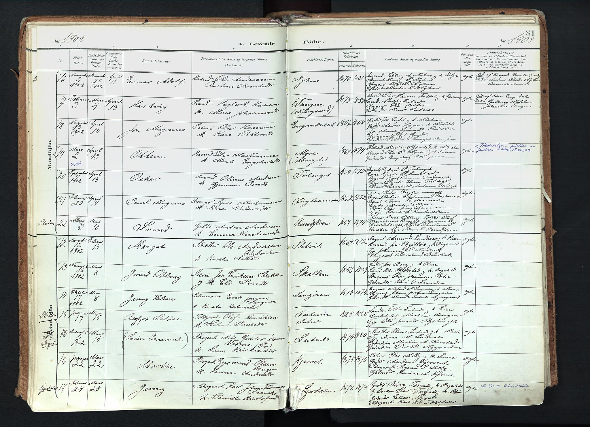 Trysil prestekontor, AV/SAH-PREST-046/H/Ha/Haa/L0012: Parish register (official) no. 12, 1898-1917, p. 81