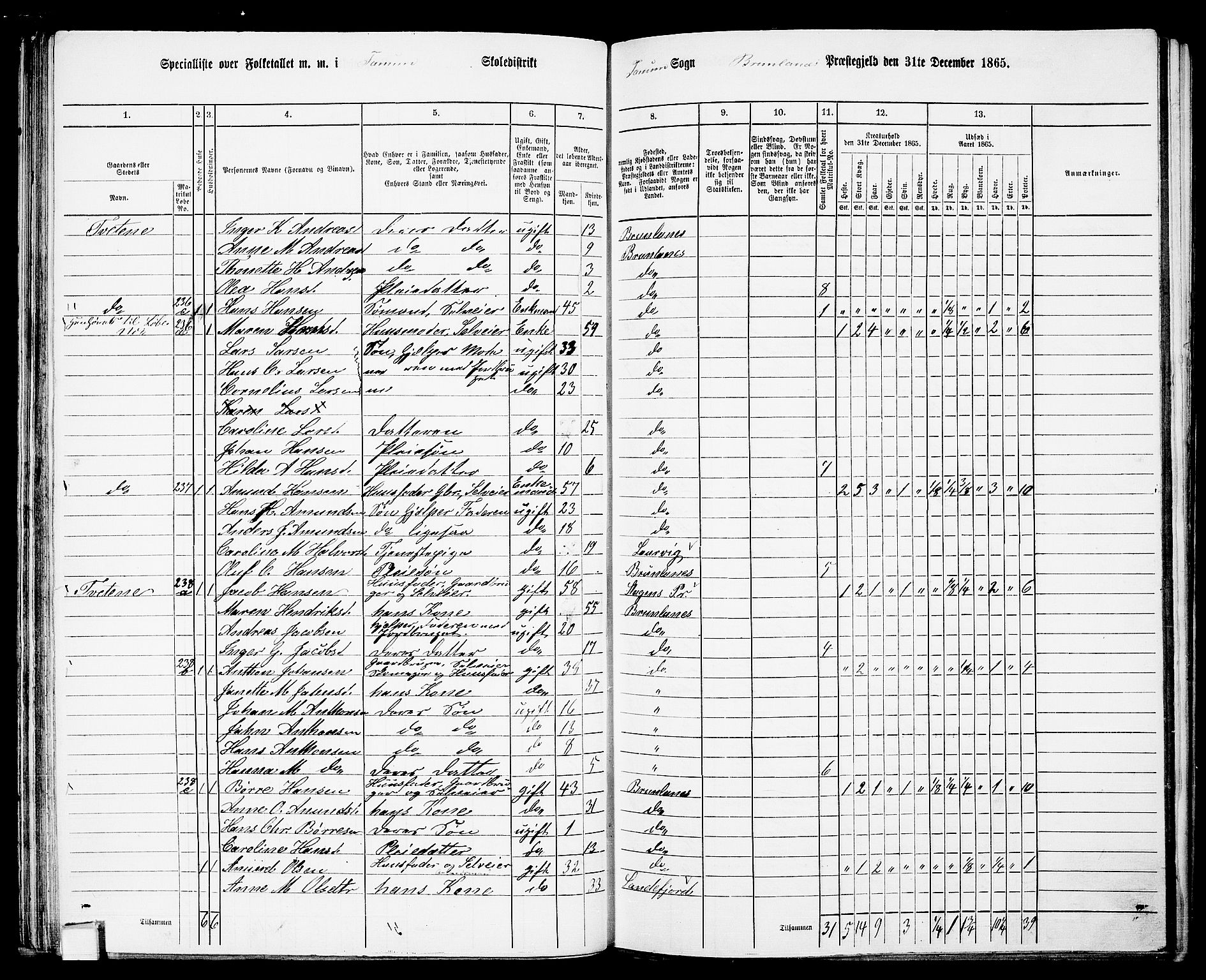 RA, 1865 census for Brunlanes, 1865, p. 52