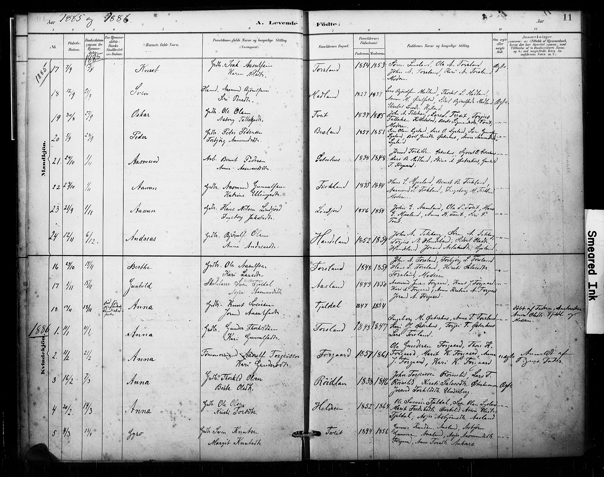 Åseral sokneprestkontor, AV/SAK-1111-0051/F/Fa/L0003: Parish register (official) no. A 3, 1884-1901, p. 11