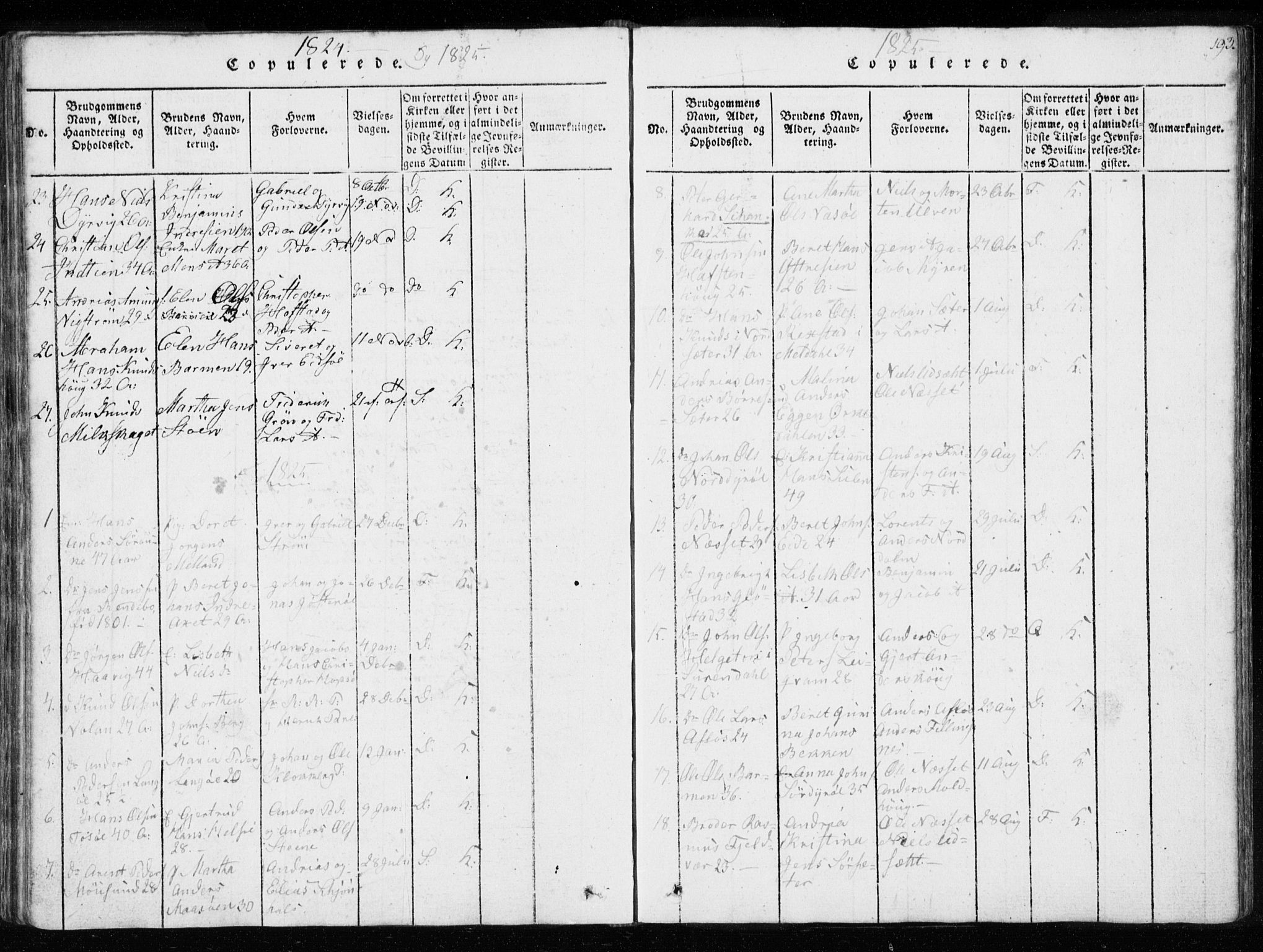 Ministerialprotokoller, klokkerbøker og fødselsregistre - Sør-Trøndelag, AV/SAT-A-1456/634/L0527: Parish register (official) no. 634A03, 1818-1826, p. 193