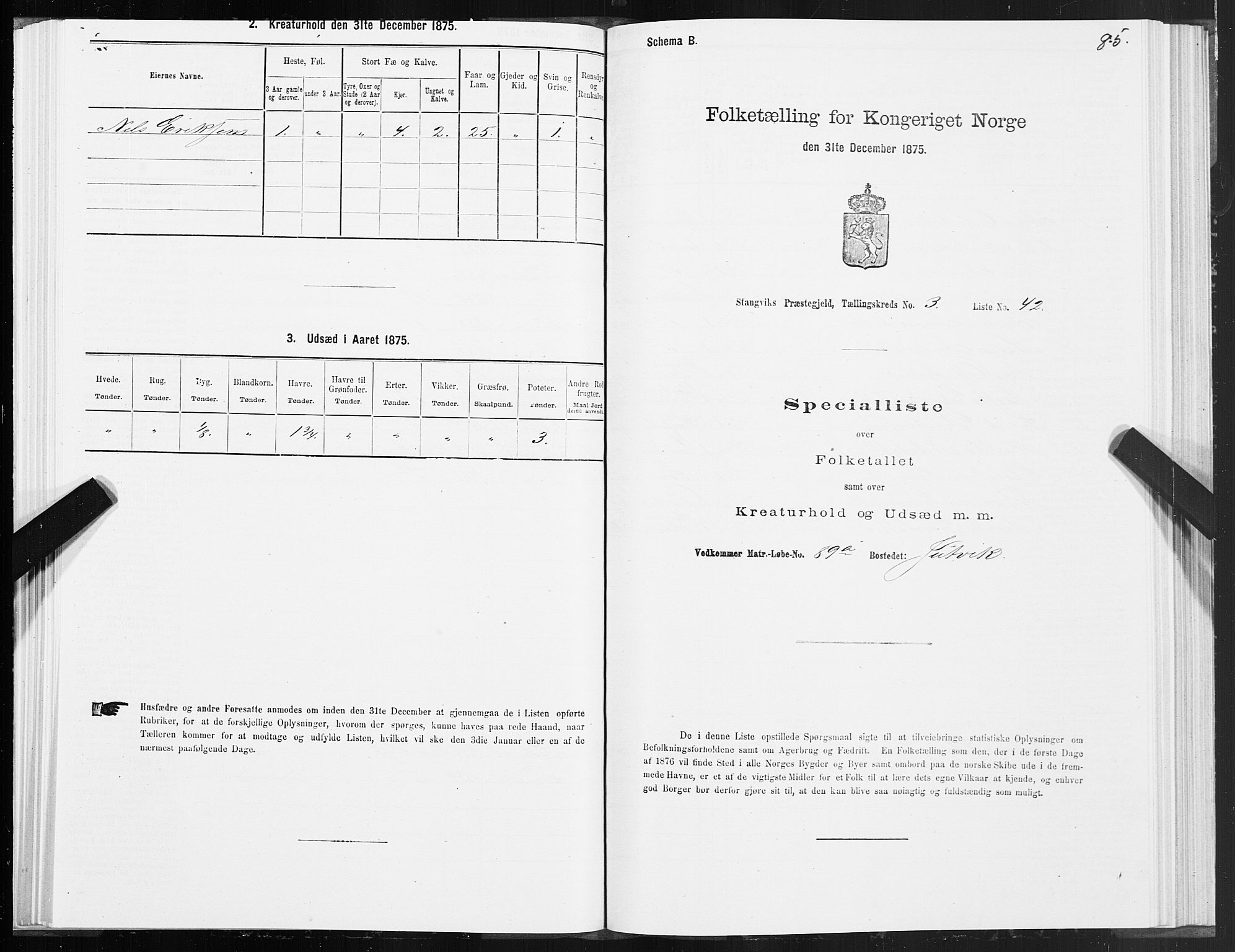 SAT, 1875 census for 1564P Stangvik, 1875, p. 2085