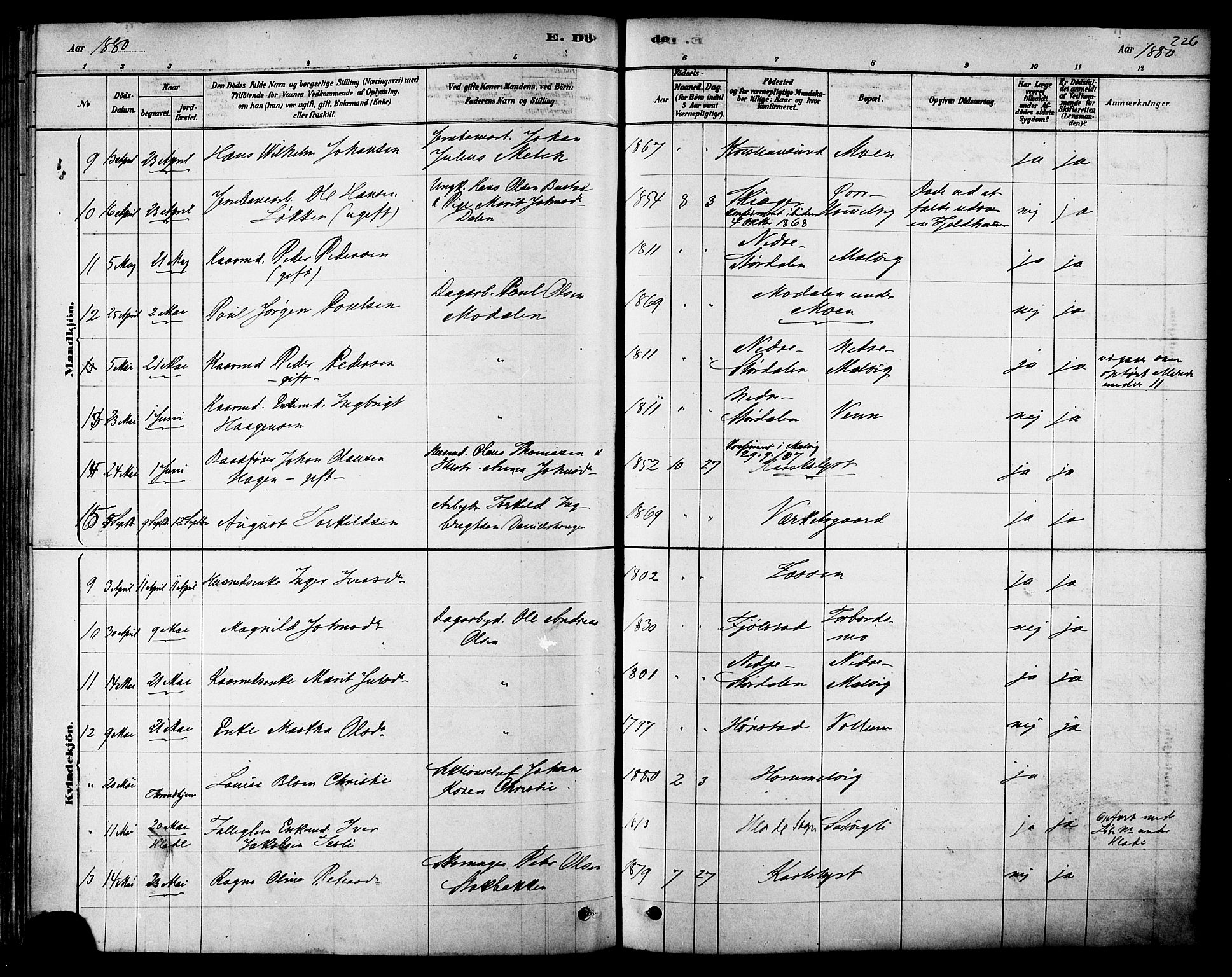 Ministerialprotokoller, klokkerbøker og fødselsregistre - Sør-Trøndelag, SAT/A-1456/616/L0410: Parish register (official) no. 616A07, 1878-1893, p. 226