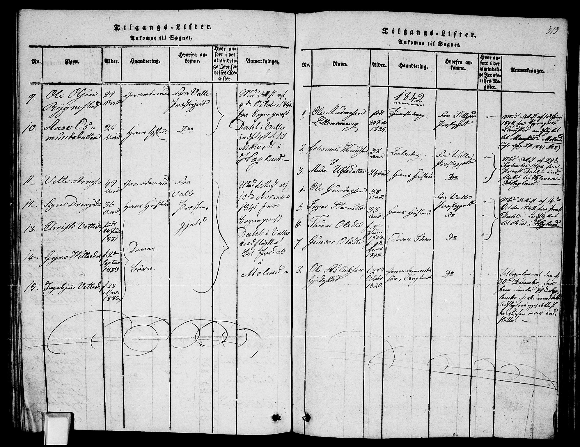 Fyresdal kirkebøker, SAKO/A-263/G/Ga/L0002: Parish register (copy) no. I 2, 1815-1857, p. 313