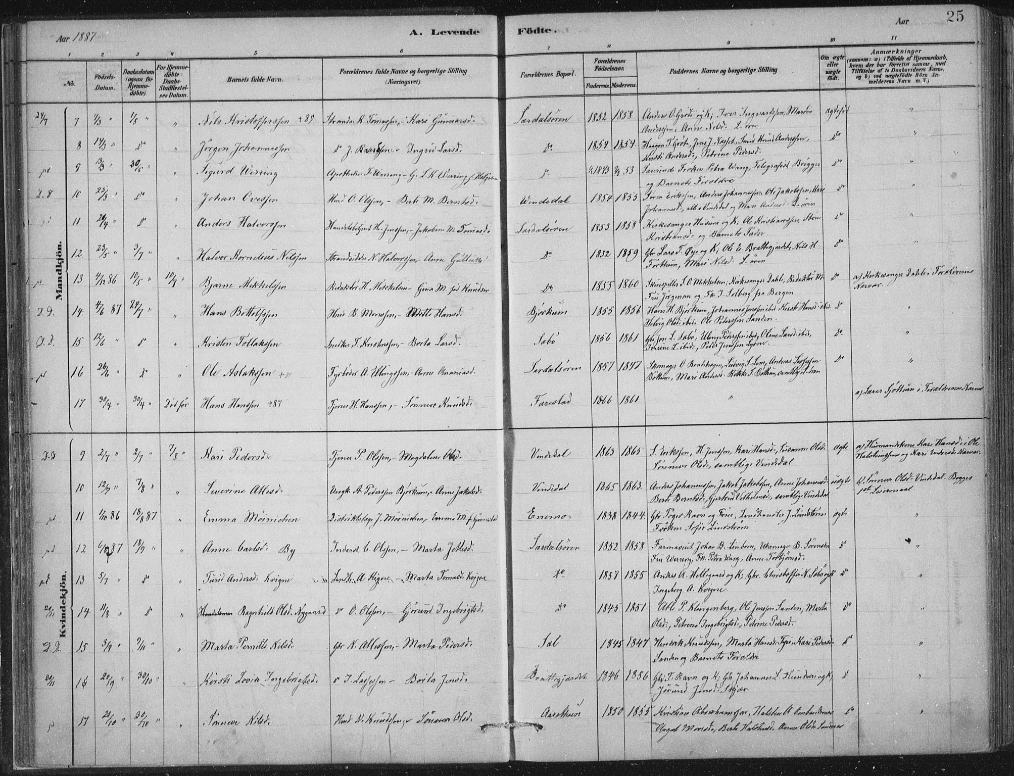 Lærdal sokneprestembete, SAB/A-81201: Parish register (official) no. D  1, 1878-1908, p. 25