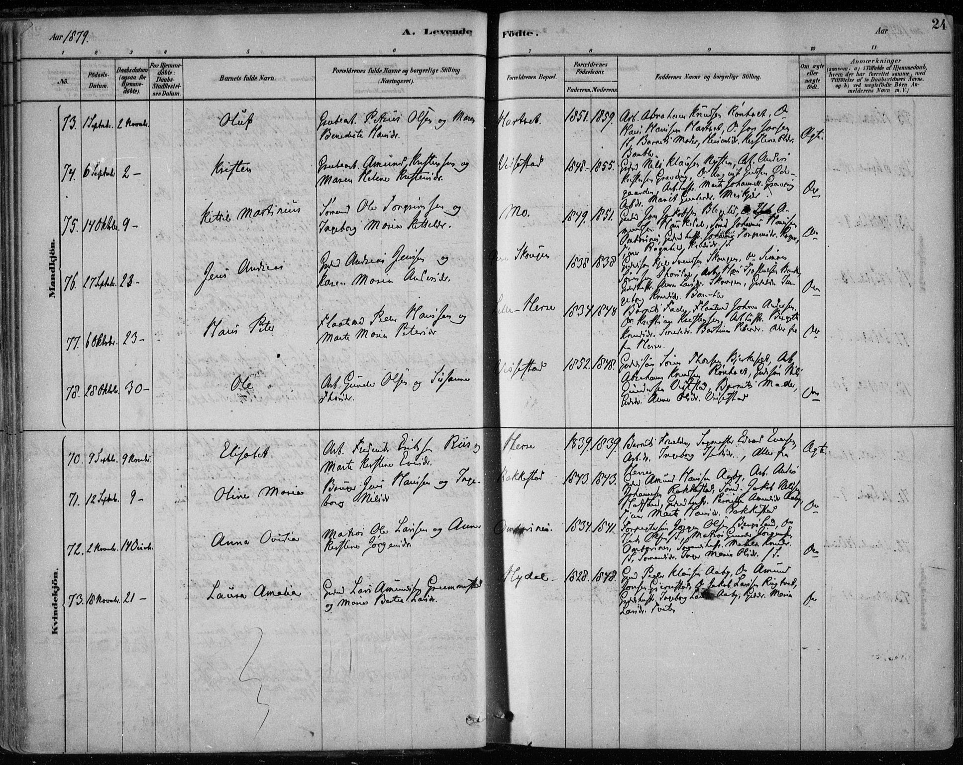 Bamble kirkebøker, AV/SAKO-A-253/F/Fa/L0007: Parish register (official) no. I 7, 1878-1888, p. 24