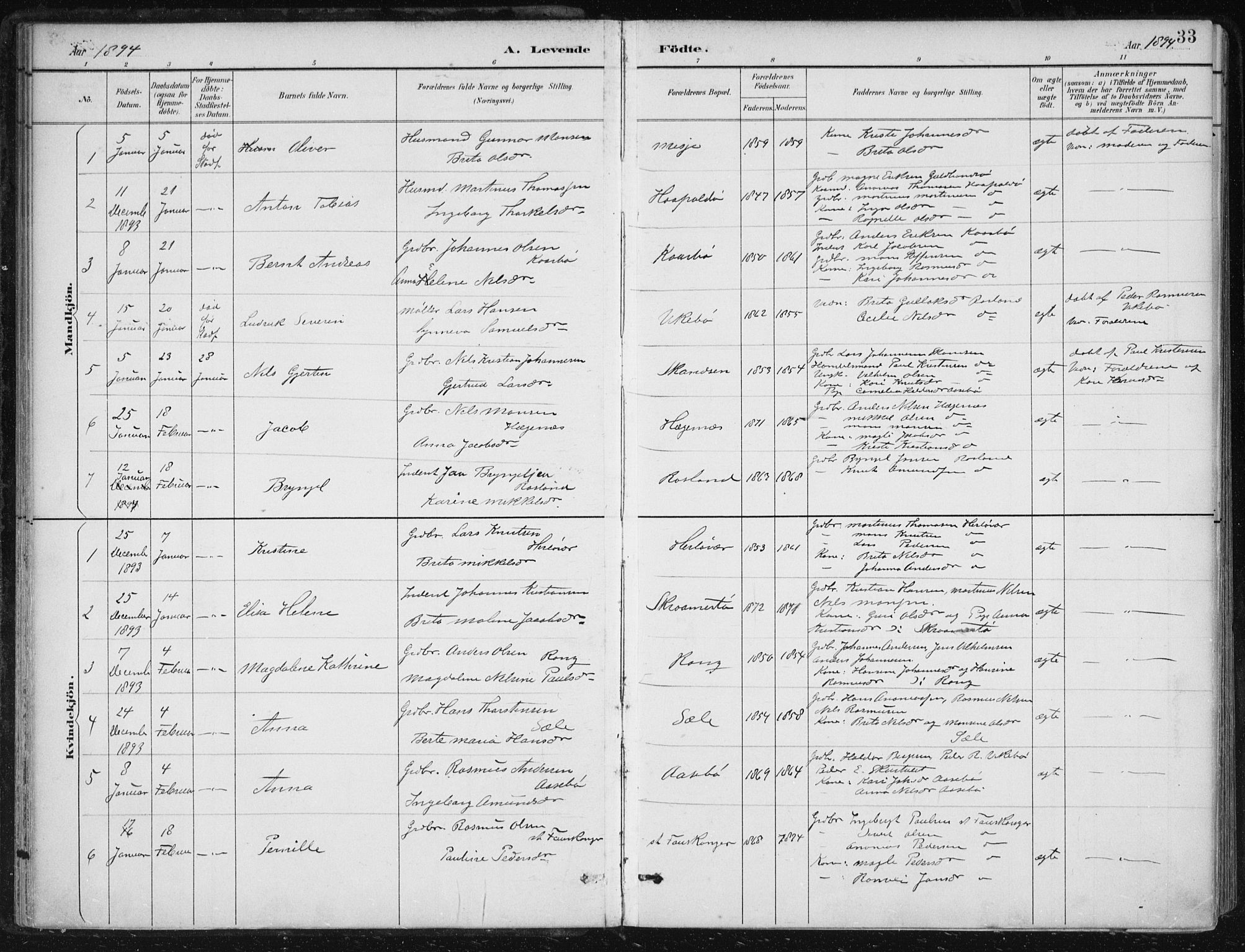 Herdla Sokneprestembete, SAB/A-75701/H/Haa: Parish register (official) no. A 4, 1891-1905, p. 33