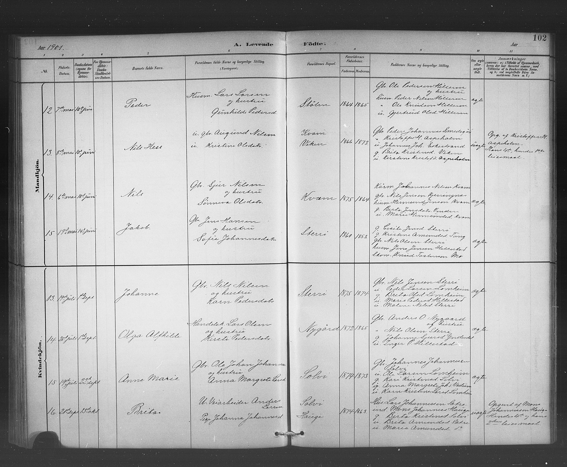 Hafslo sokneprestembete, AV/SAB-A-80301/H/Hab/Habb/L0001: Parish register (copy) no. B 1, 1882-1908, p. 102