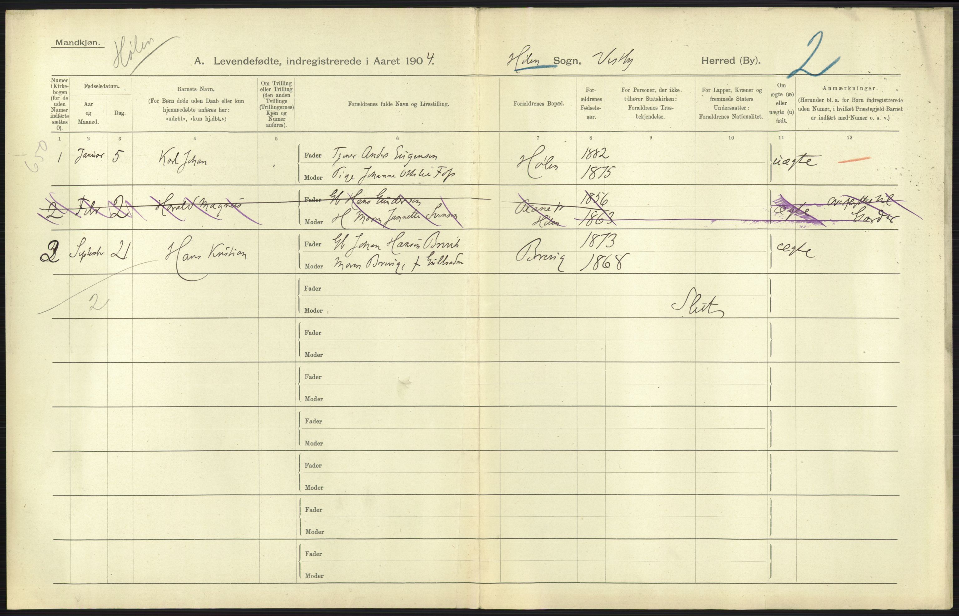 Statistisk sentralbyrå, Sosiodemografiske emner, Befolkning, AV/RA-S-2228/D/Df/Dfa/Dfab/L0002: Akershus amt: Fødte, gifte, døde, 1904, p. 435