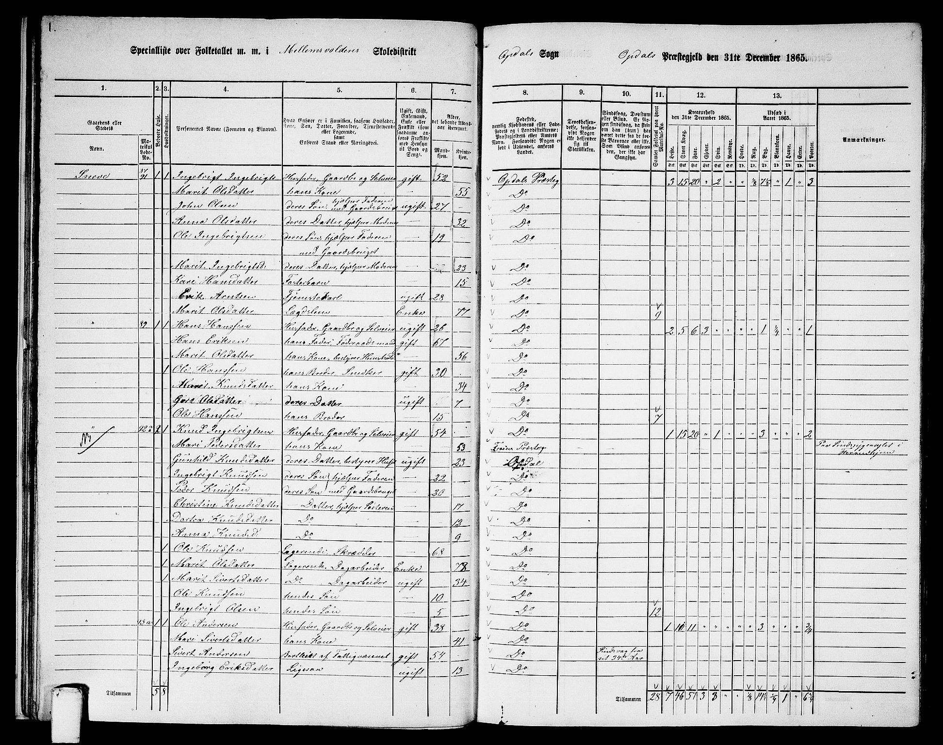 RA, 1865 census for Oppdal, 1865, p. 29