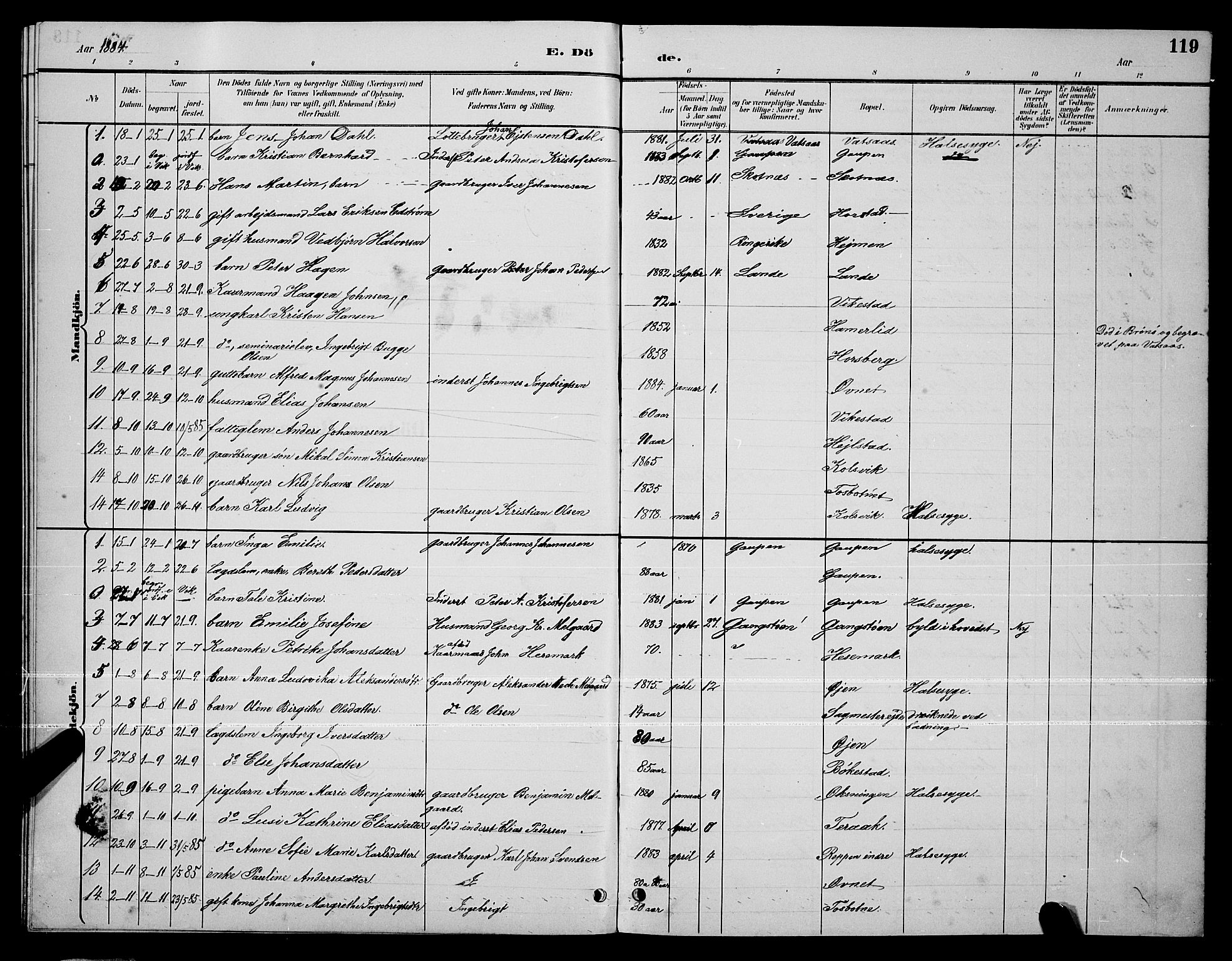 Ministerialprotokoller, klokkerbøker og fødselsregistre - Nordland, AV/SAT-A-1459/810/L0160: Parish register (copy) no. 810C03, 1884-1896, p. 119