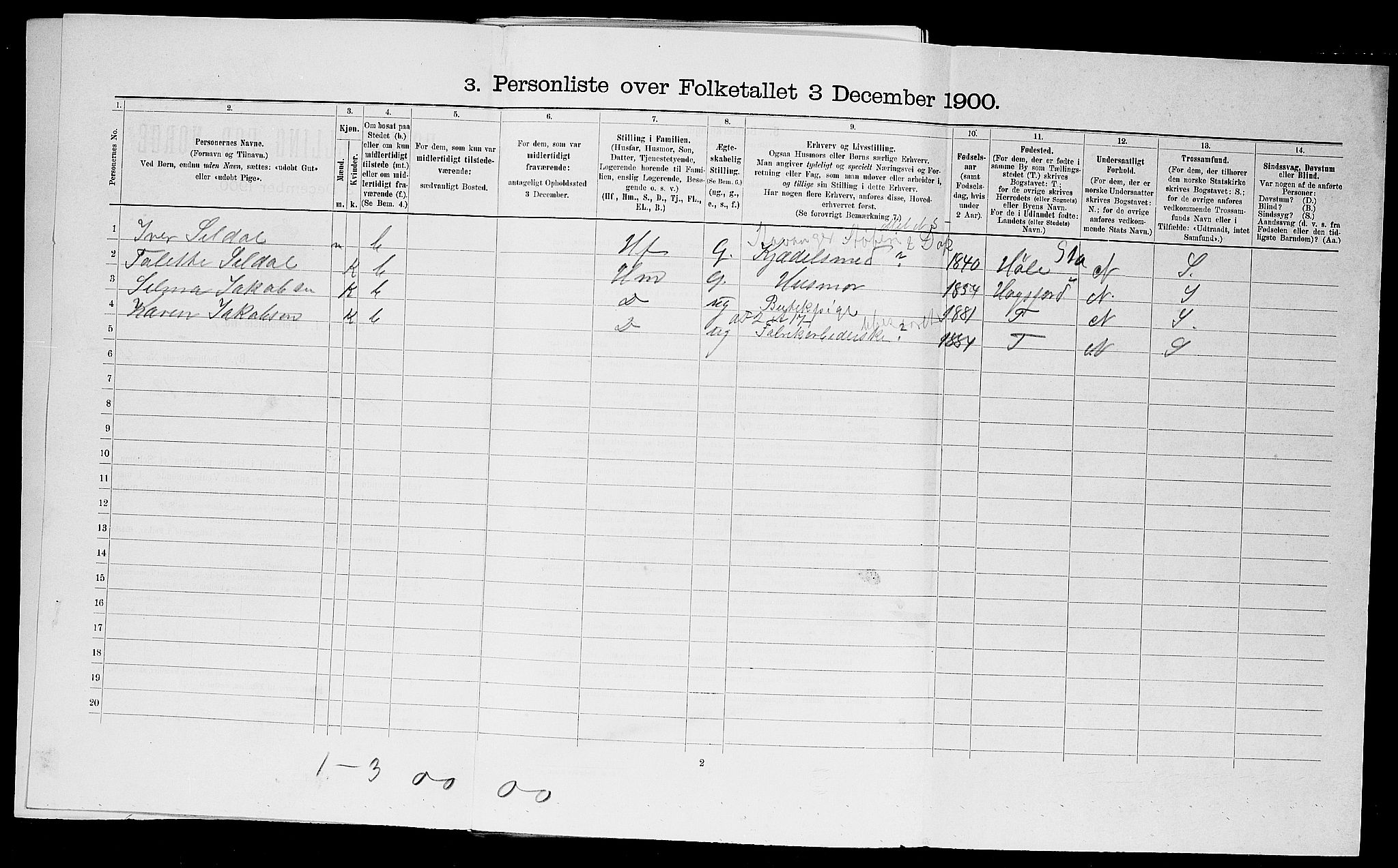SAST, 1900 census for Stavanger, 1900, p. 16636