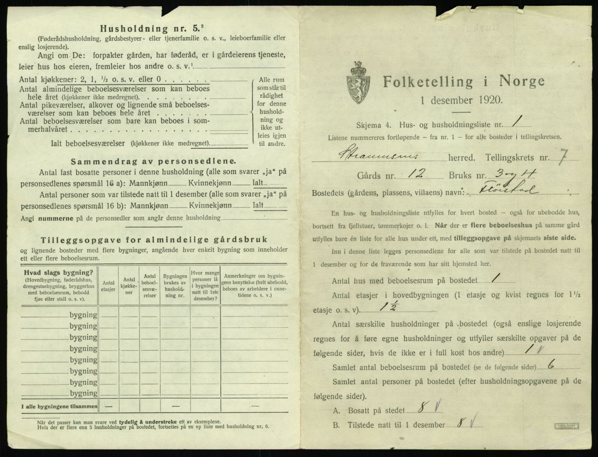 SAT, 1920 census for Straumsnes, 1920, p. 411