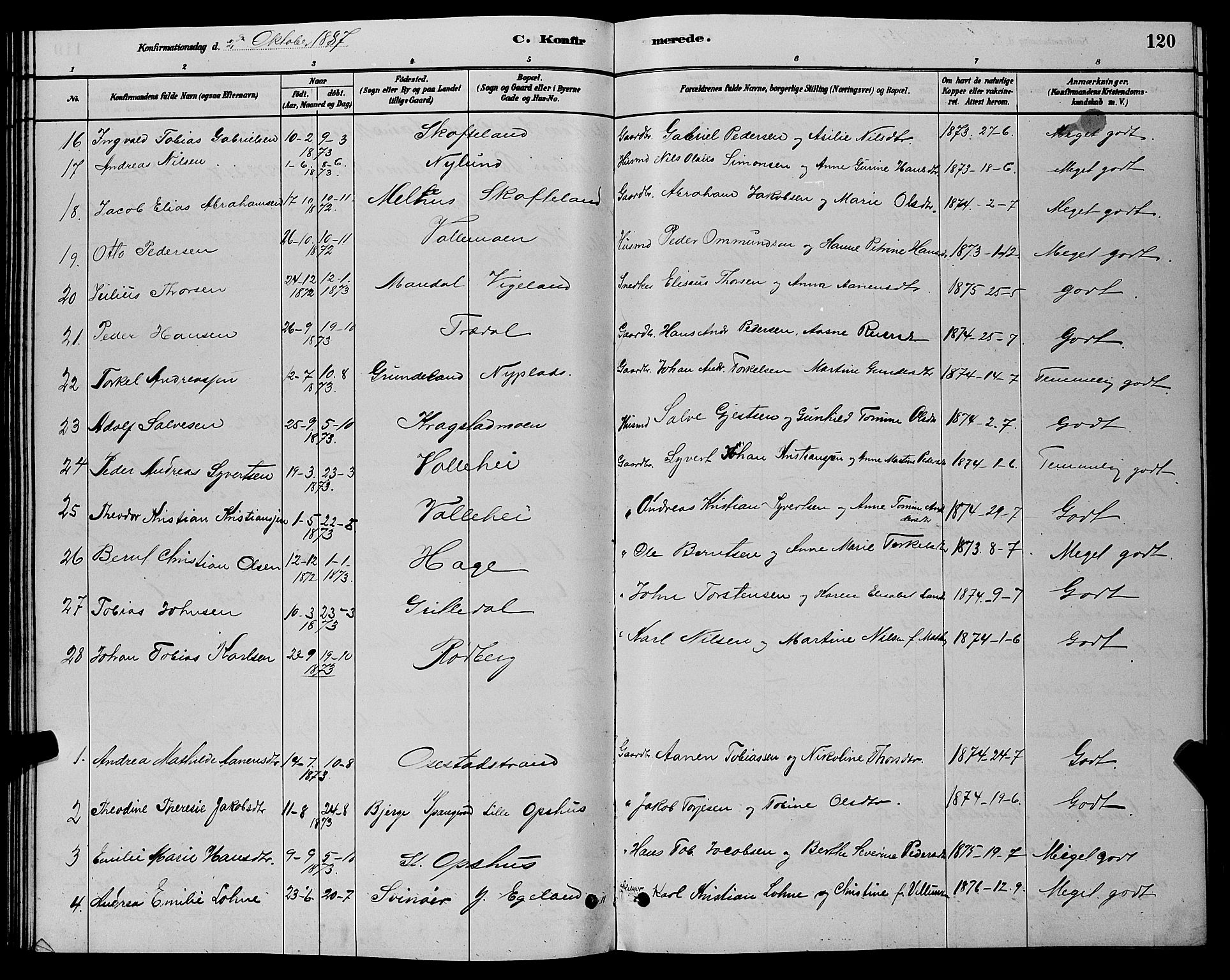 Sør-Audnedal sokneprestkontor, AV/SAK-1111-0039/F/Fb/Fbb/L0005: Parish register (copy) no. B 5, 1880-1892, p. 120