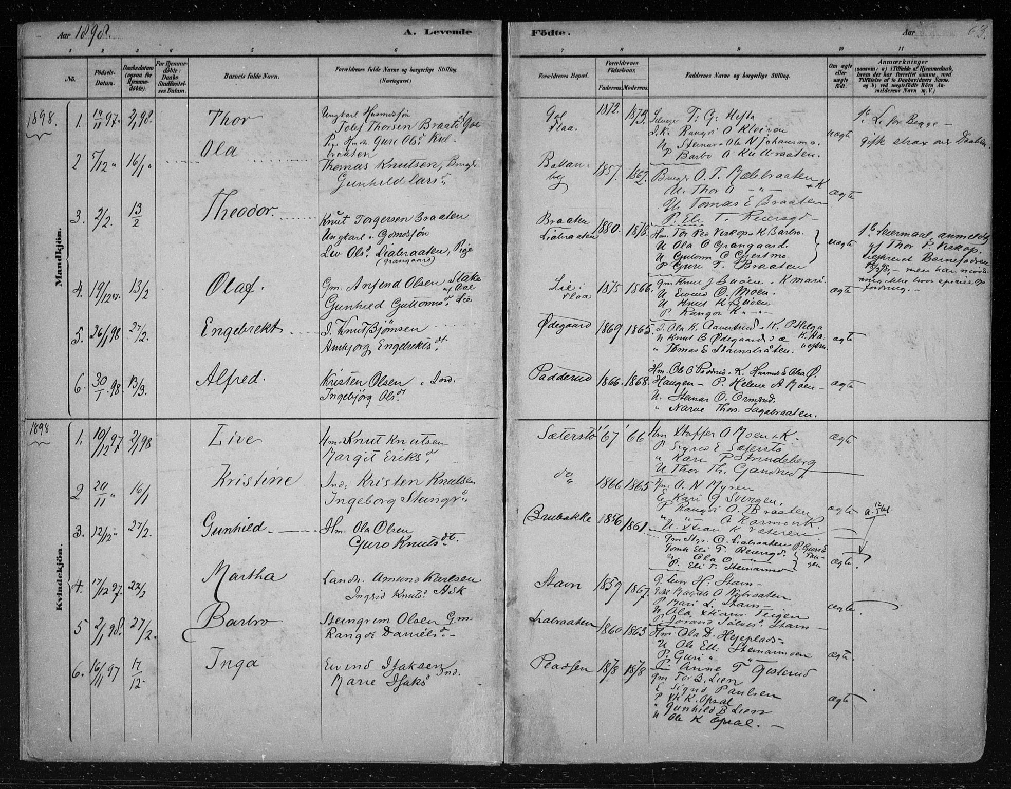 Nes kirkebøker, SAKO/A-236/F/Fa/L0012: Parish register (official) no. 12, 1881-1917, p. 63