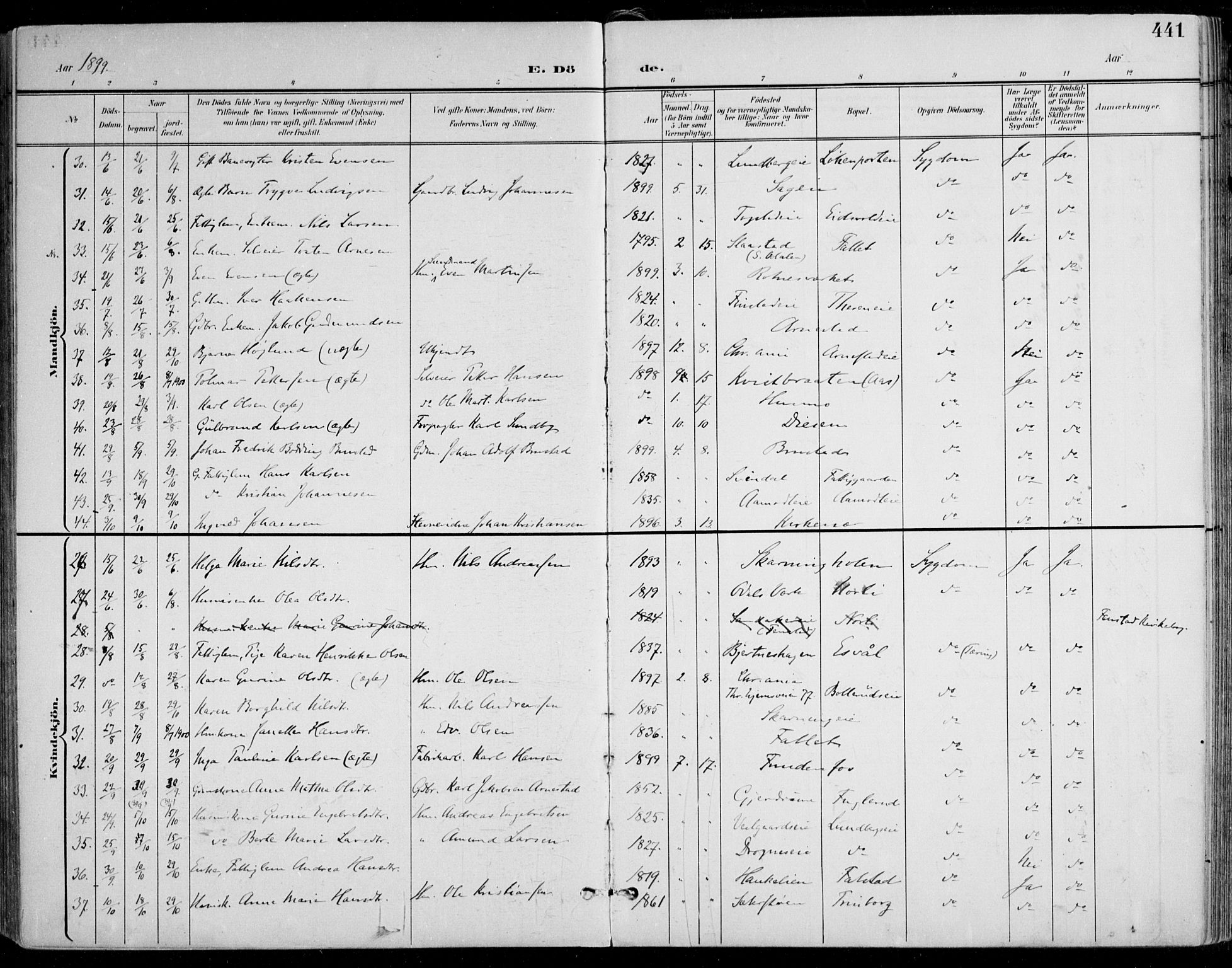 Nes prestekontor Kirkebøker, SAO/A-10410/F/Fa/L0011: Parish register (official) no. I 11, 1899-1918, p. 441