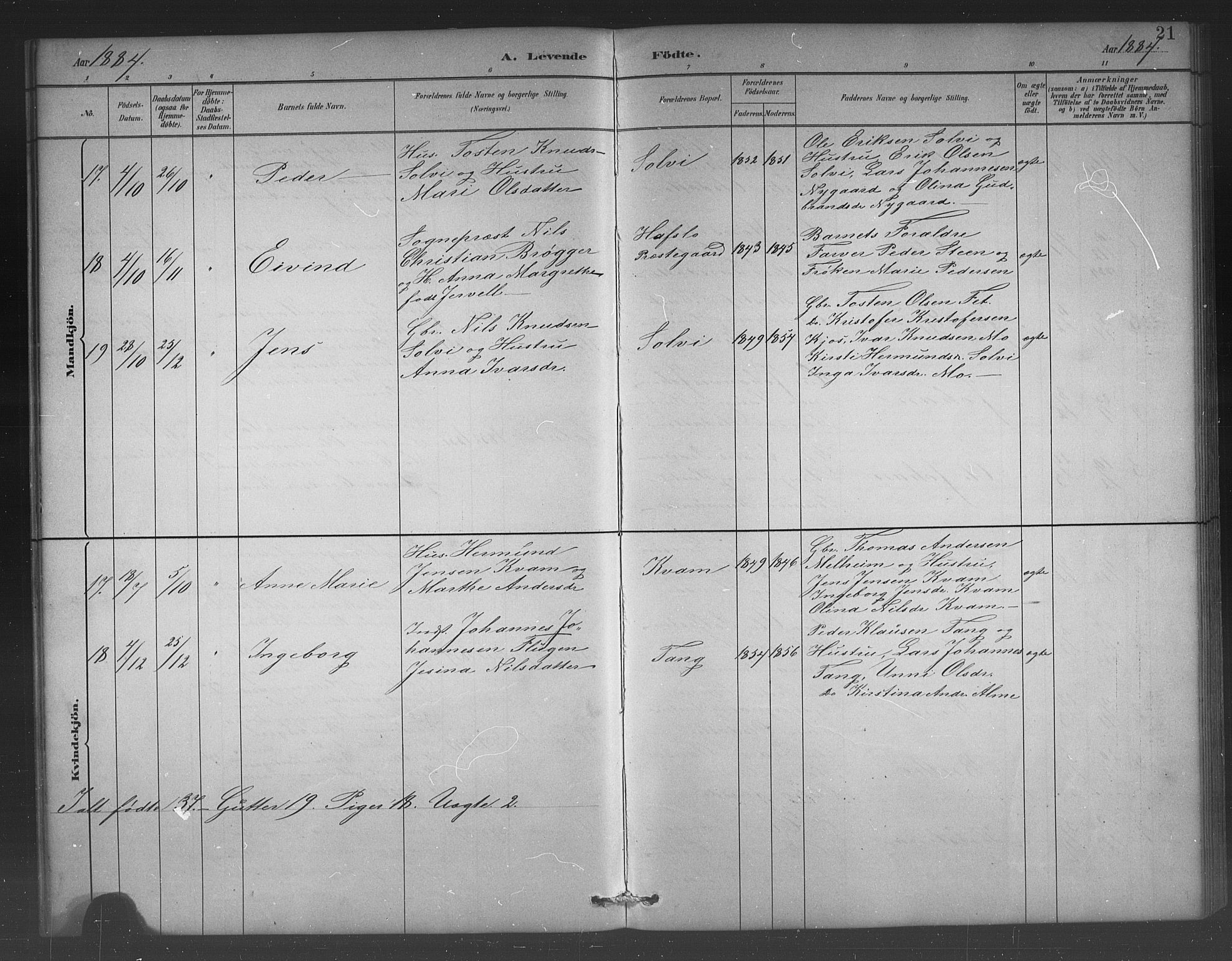 Hafslo sokneprestembete, AV/SAB-A-80301/H/Hab/Habb/L0001: Parish register (copy) no. B 1, 1882-1908, p. 21