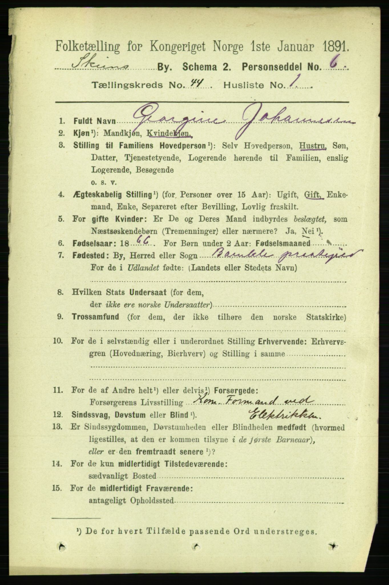 RA, 1891 census for 0806 Skien, 1891, p. 8774