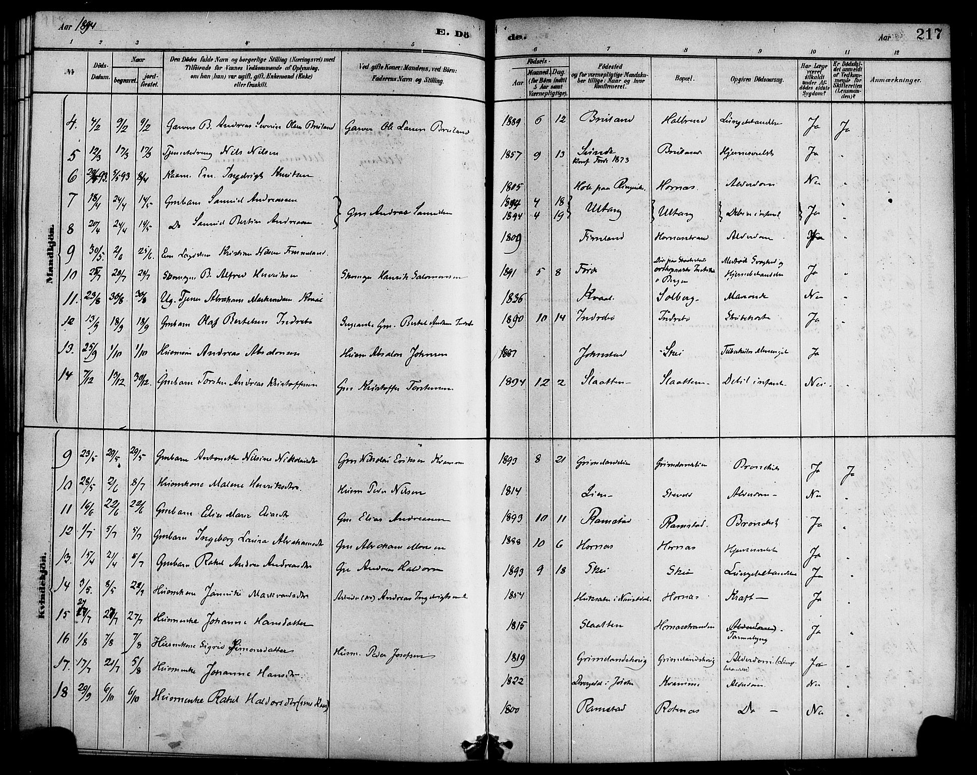 Førde sokneprestembete, SAB/A-79901/H/Haa/Haab/L0001: Parish register (official) no. B 1, 1880-1898, p. 217