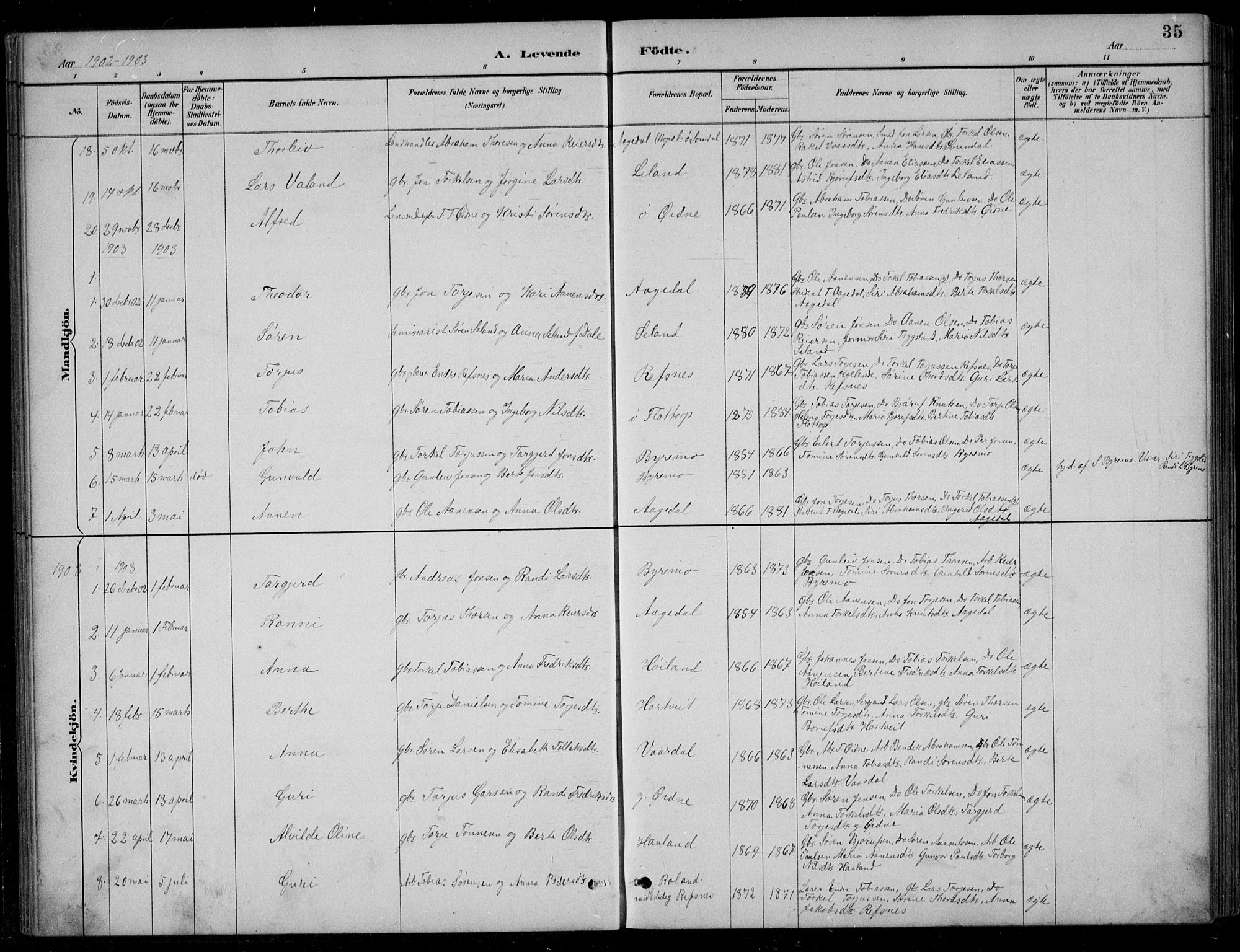 Bjelland sokneprestkontor, SAK/1111-0005/F/Fb/Fbc/L0003: Parish register (copy) no. B 3, 1887-1924, p. 35