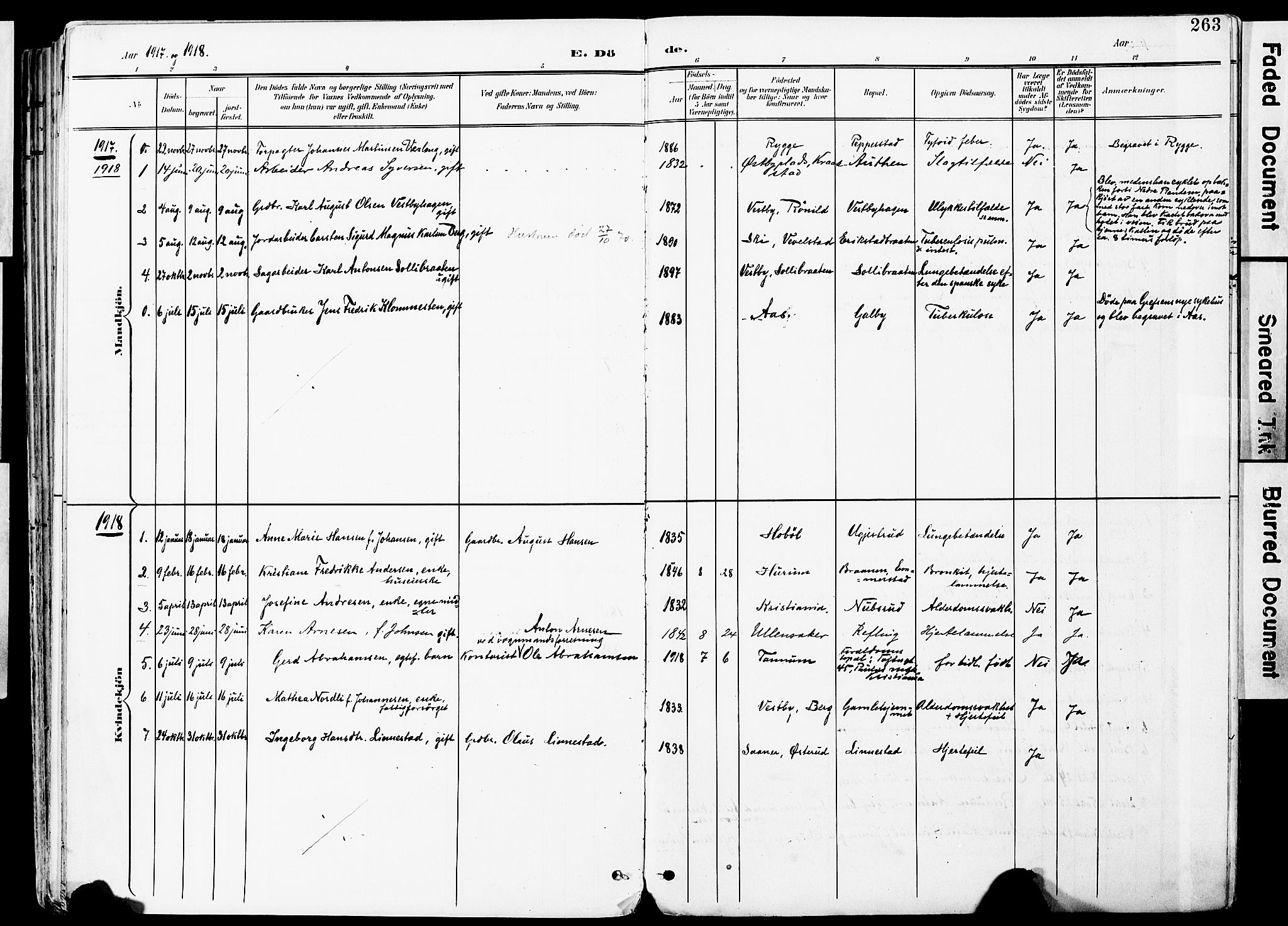 Vestby prestekontor Kirkebøker, SAO/A-10893/F/Fa/L0010: Parish register (official) no. I 10, 1900-1926, p. 263